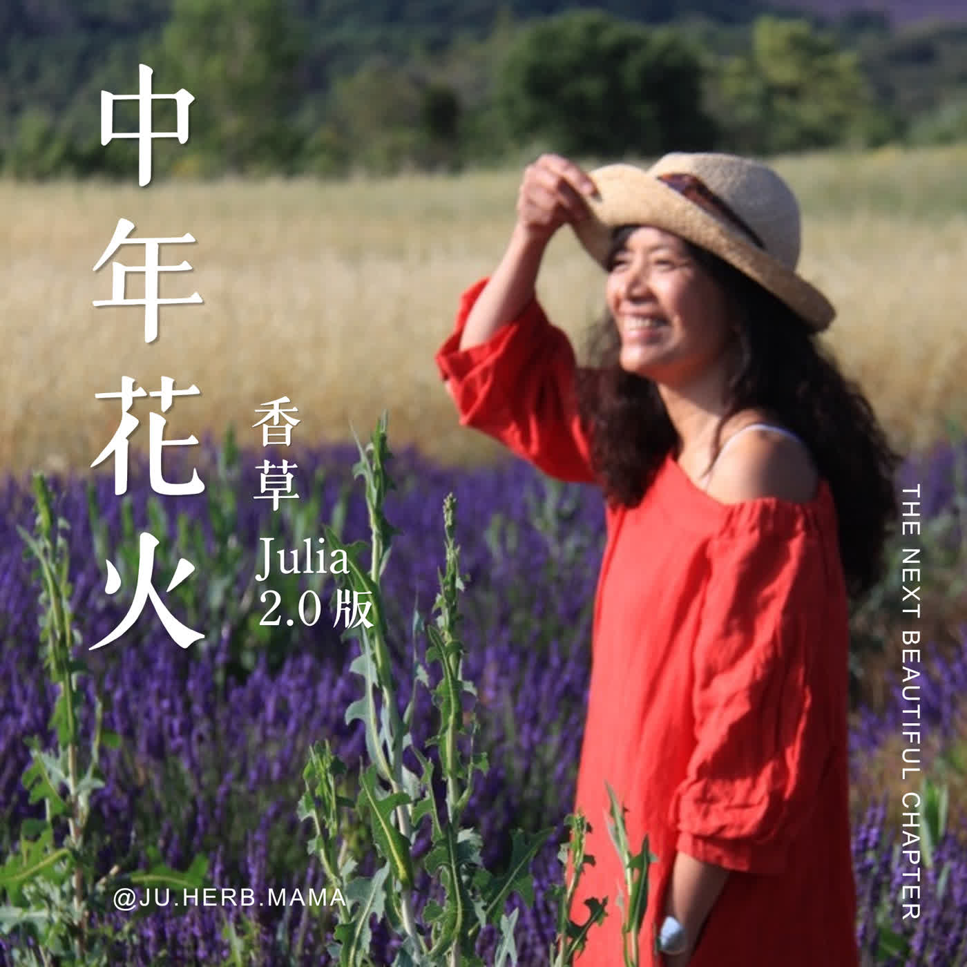 中年花火。香草Julia 2.0版