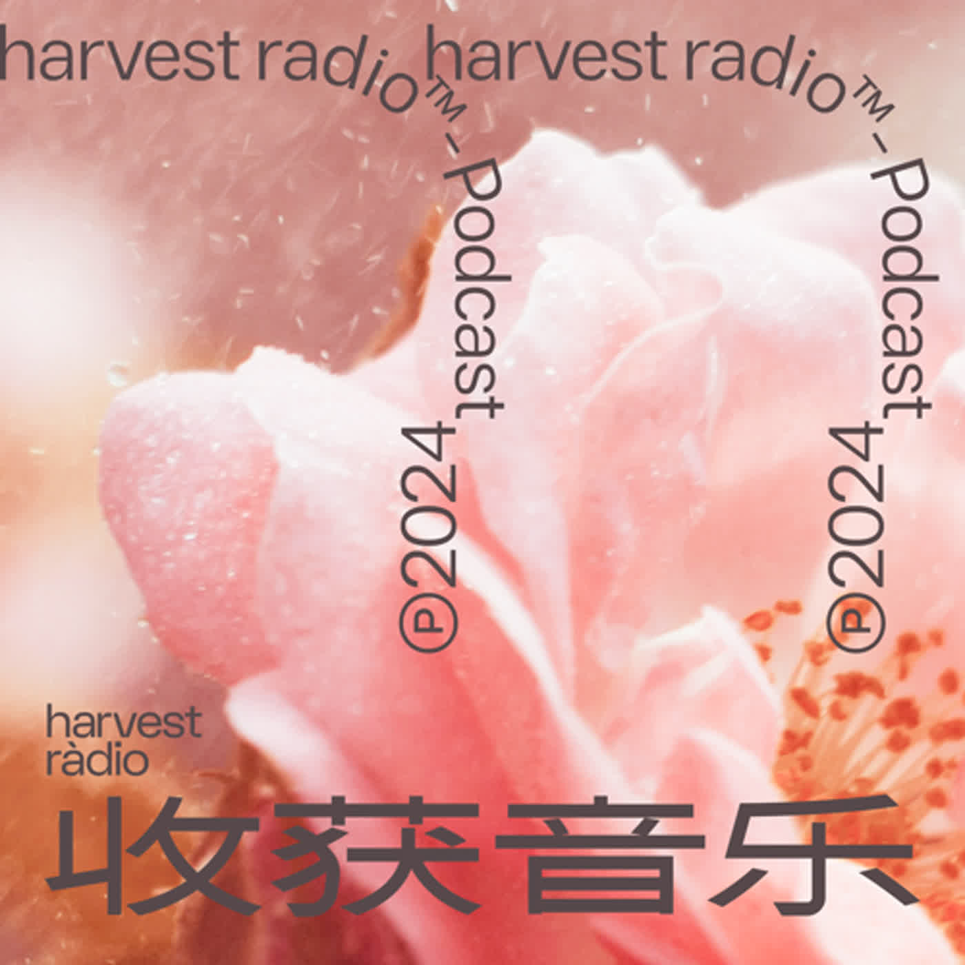 harvest radio 收获音乐