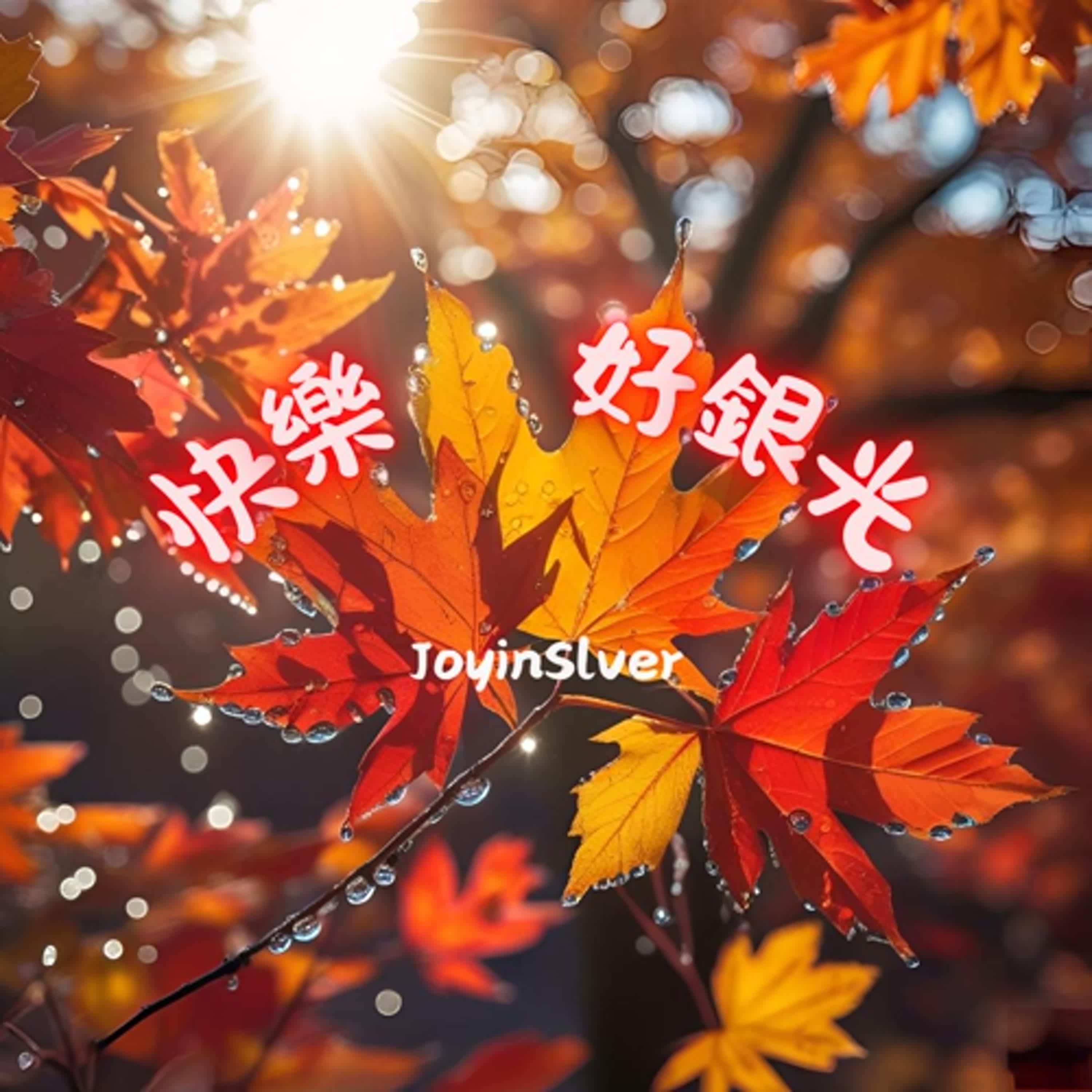 快樂好銀光