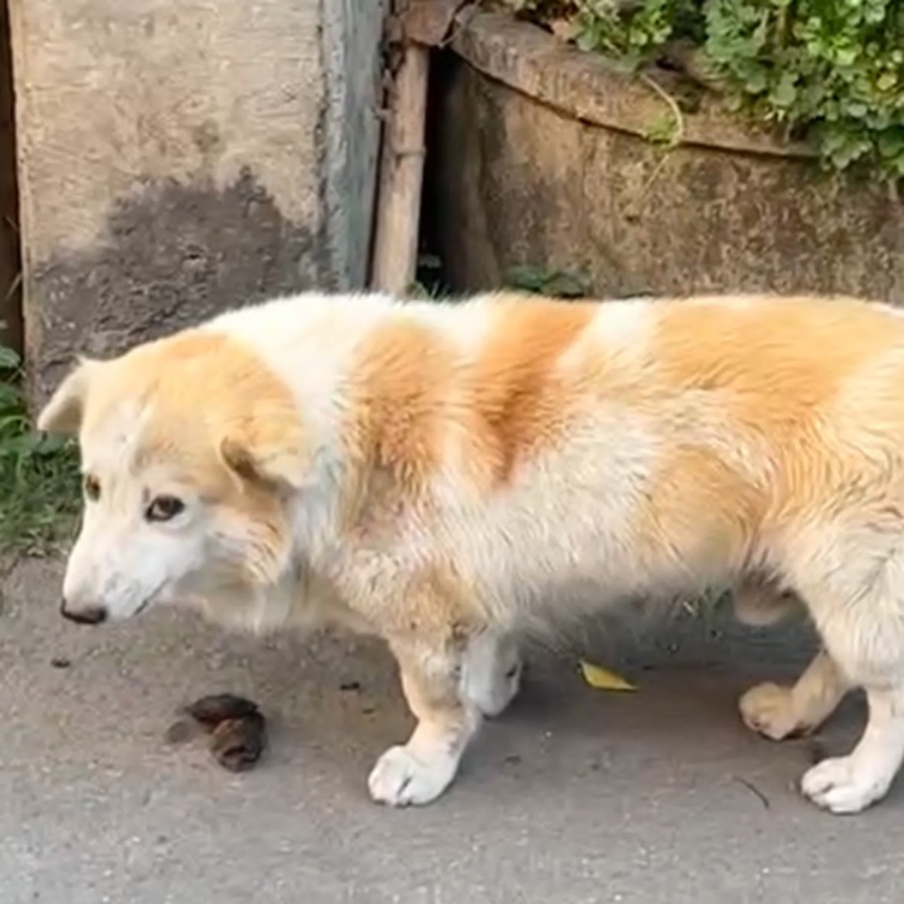 反正我不是這塊料ㄚ