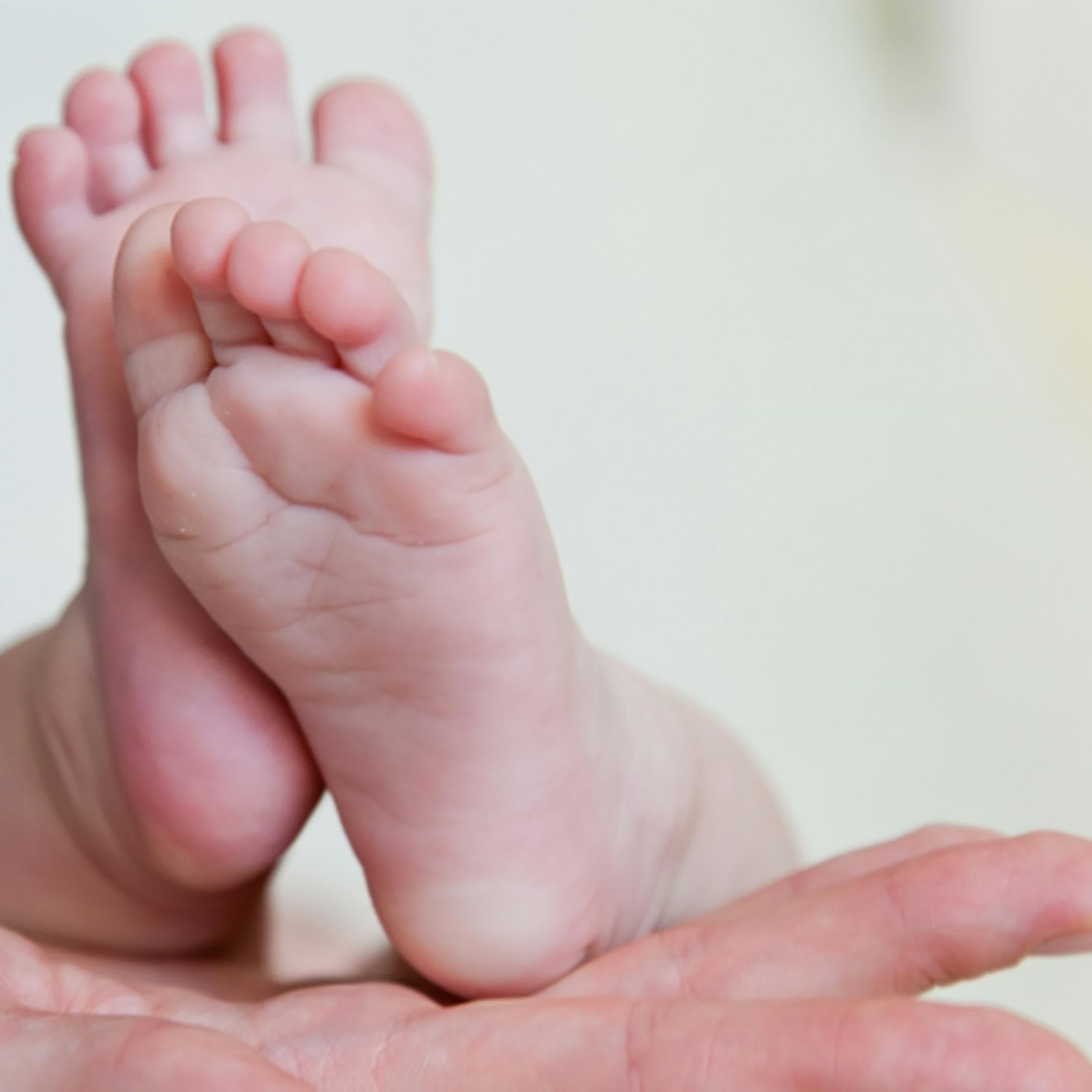 婴儿与母亲第一期：母婴关系如何塑造你的一生（英文）