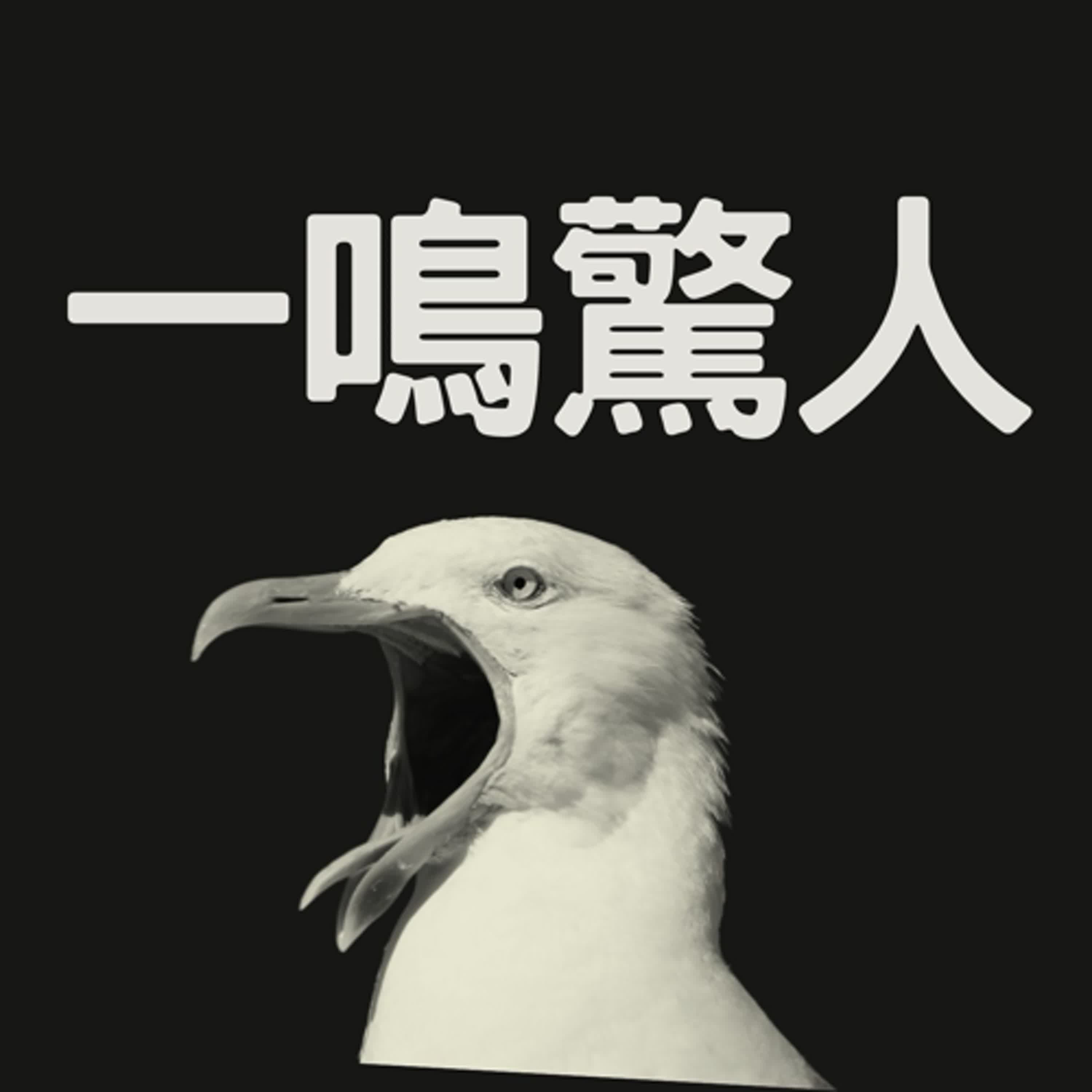 一鳴驚人移民大小事 cover art