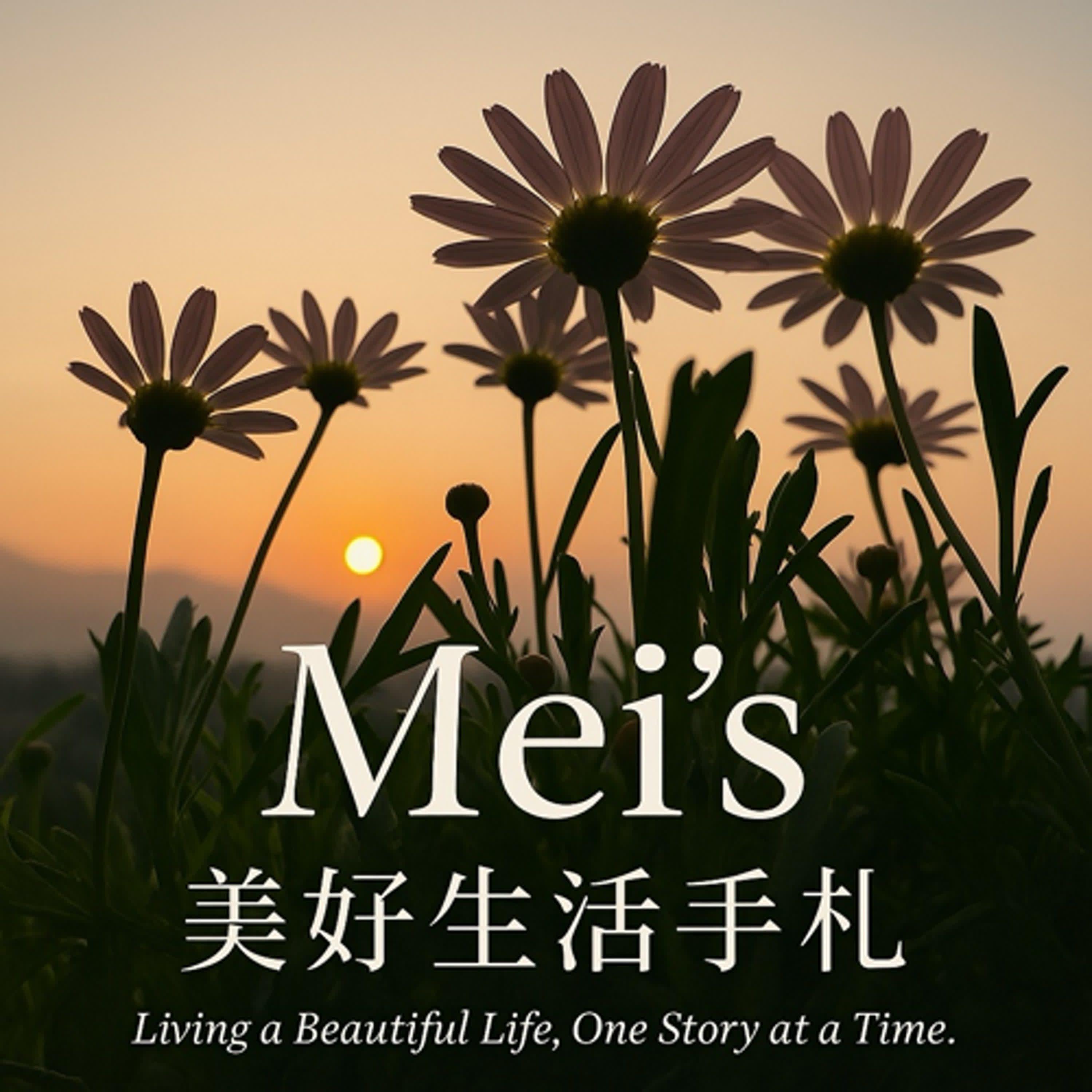 Mei’s美好生活手札 podcast artwork