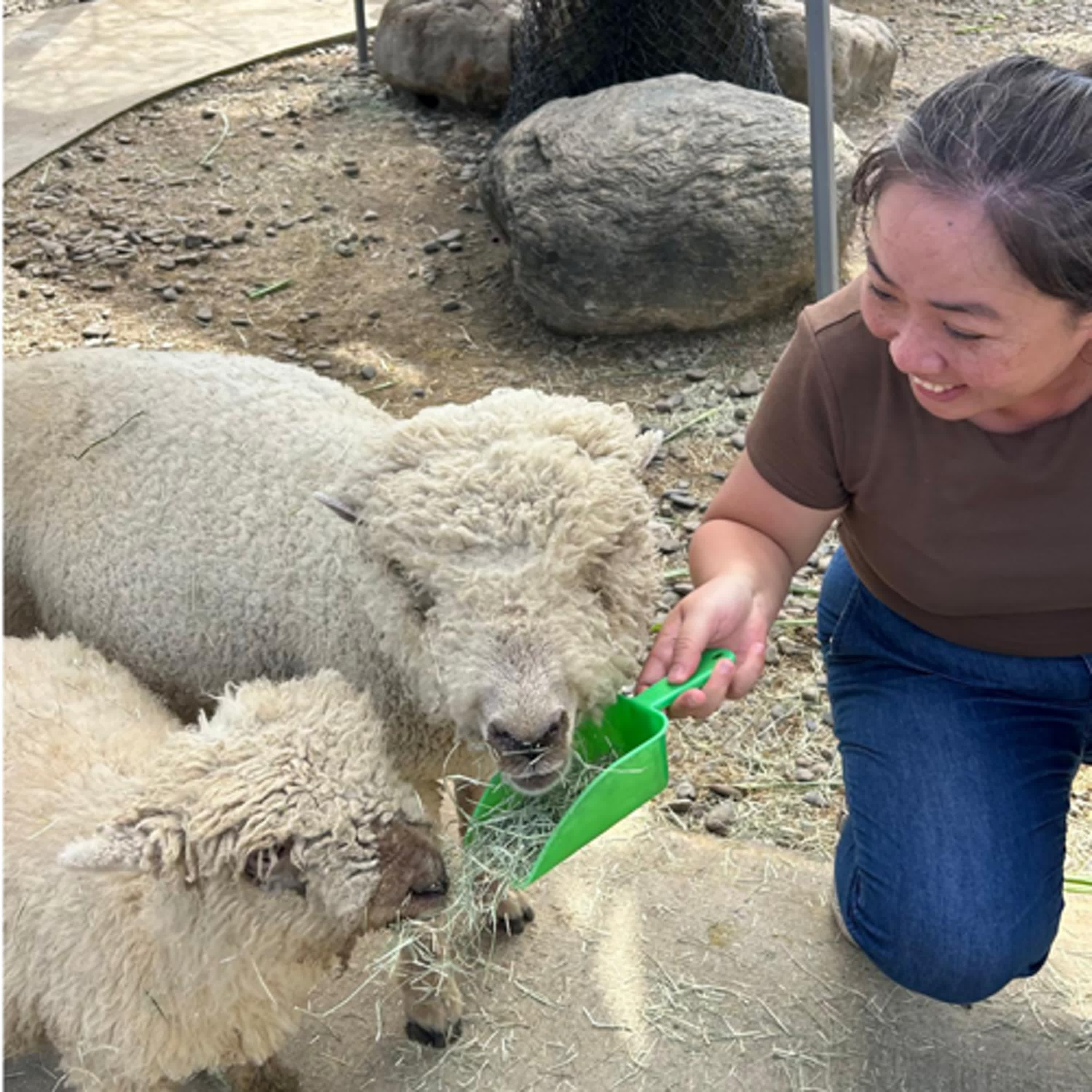 嗨，我是淑芬 cover art