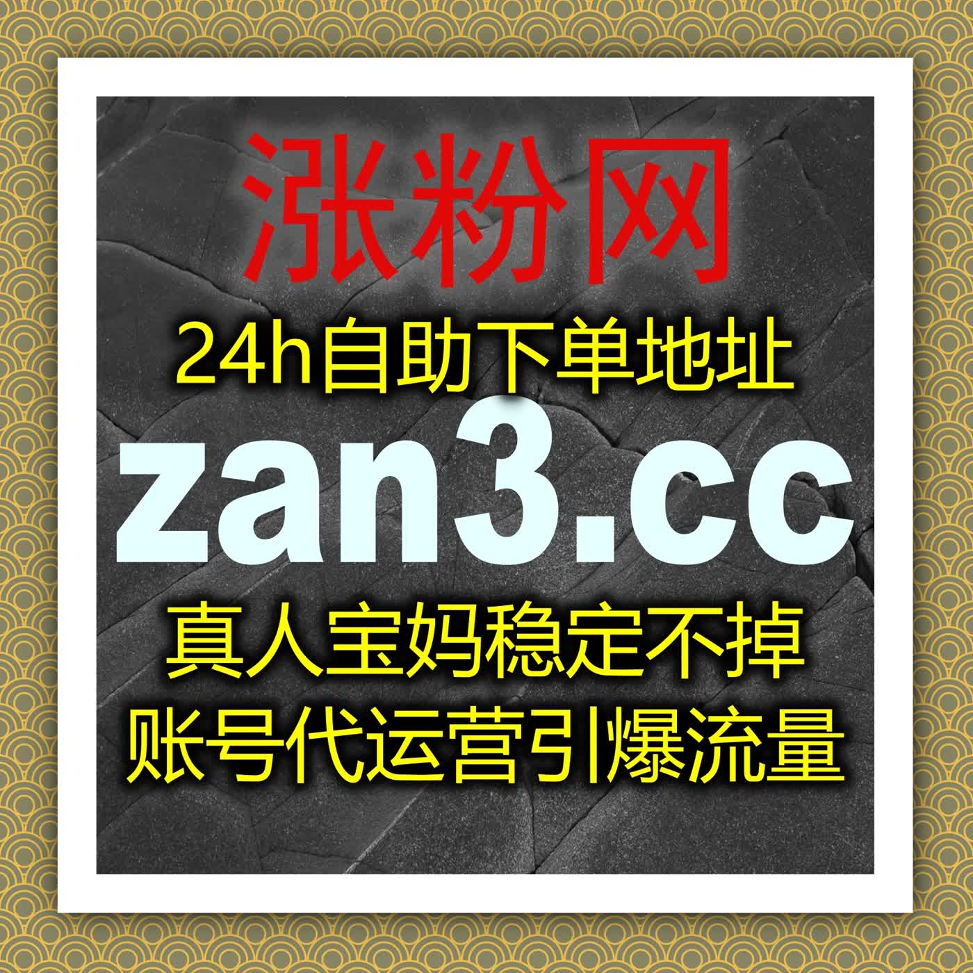 TikTok国际版粉丝和视频互动提升方案，在线全自动下单助力全网增长