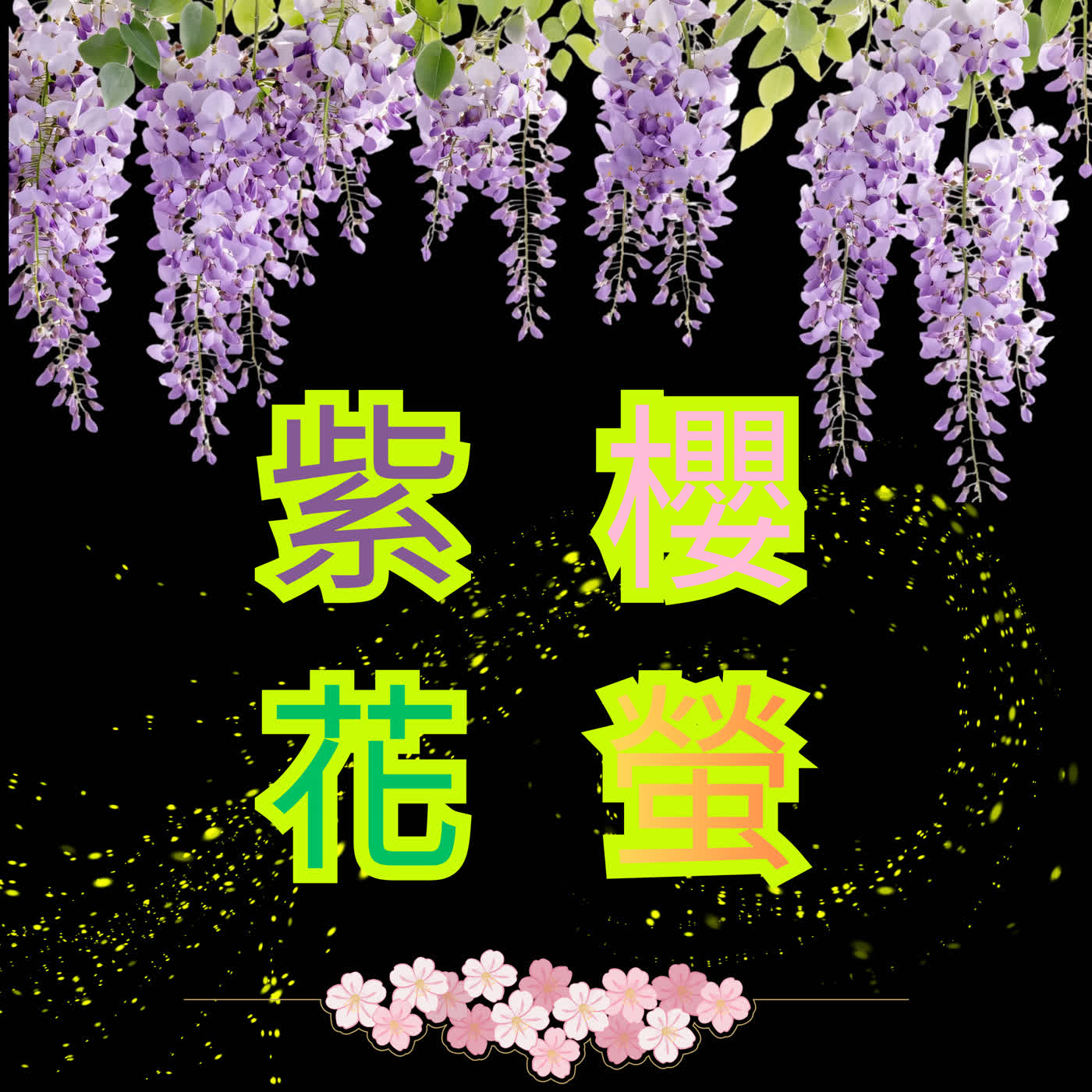 紫櫻花螢