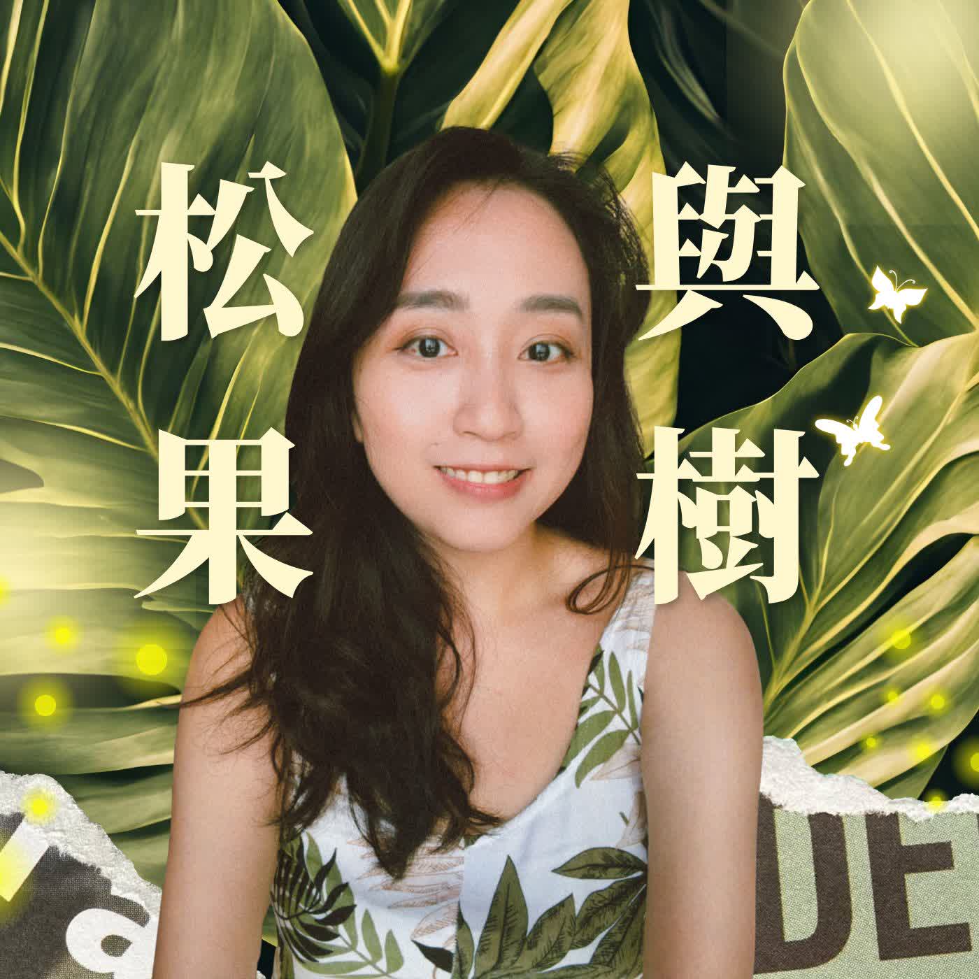 松果與樹｜生活覺察