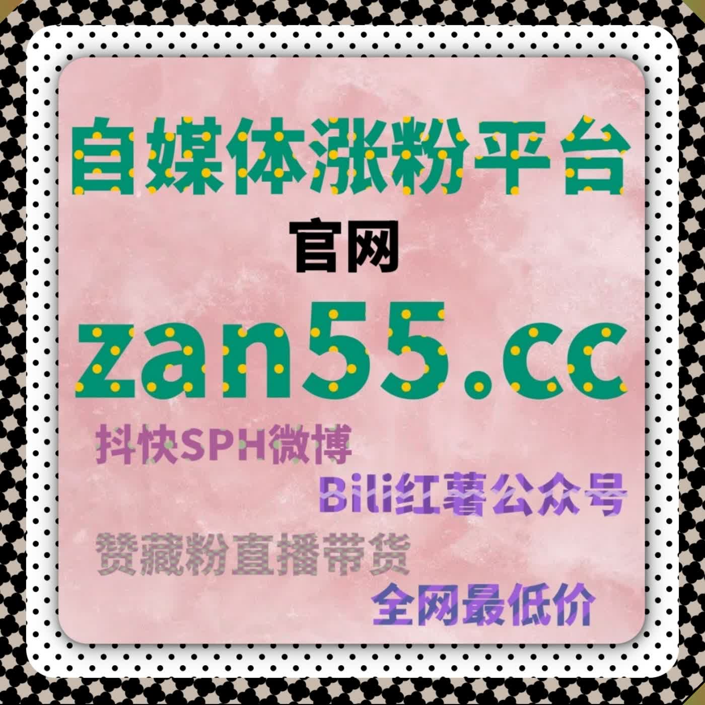 B 站新人粉丝快速打底 可依托流量提升合规协议粉搭建初期运营圈层