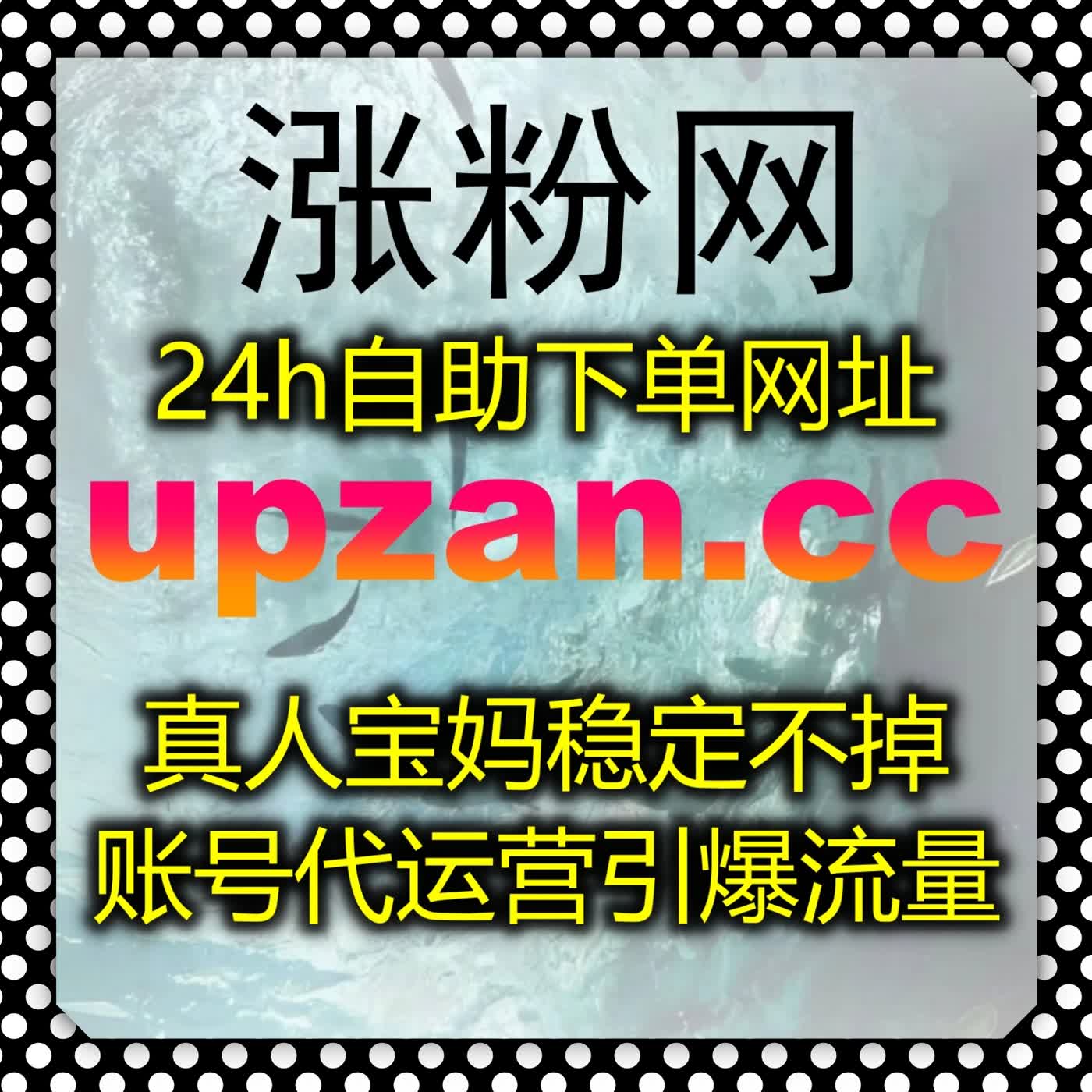 优化团队运维节奏，选用在线全自动下单快速完成批量账号数据打理
