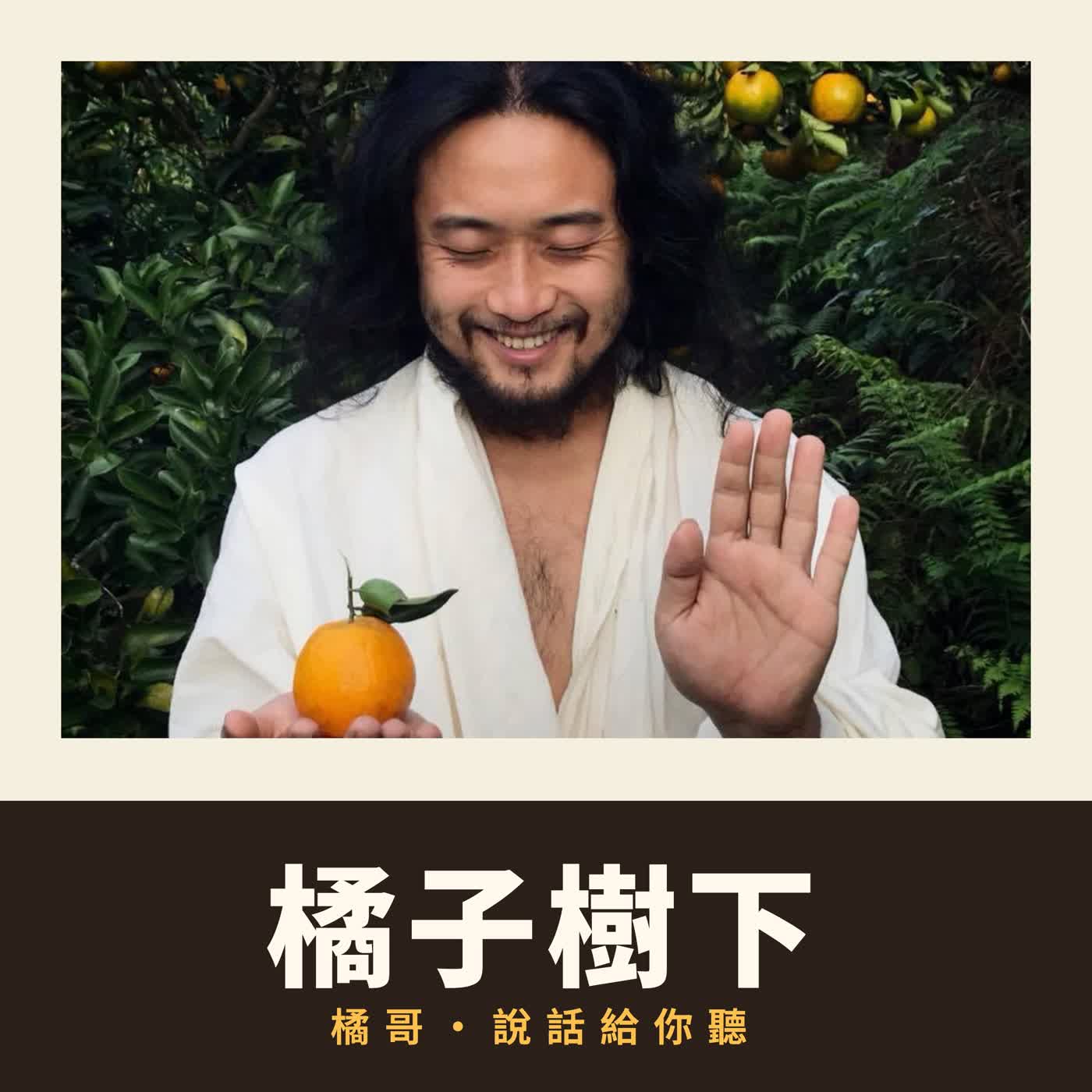 橘子樹下