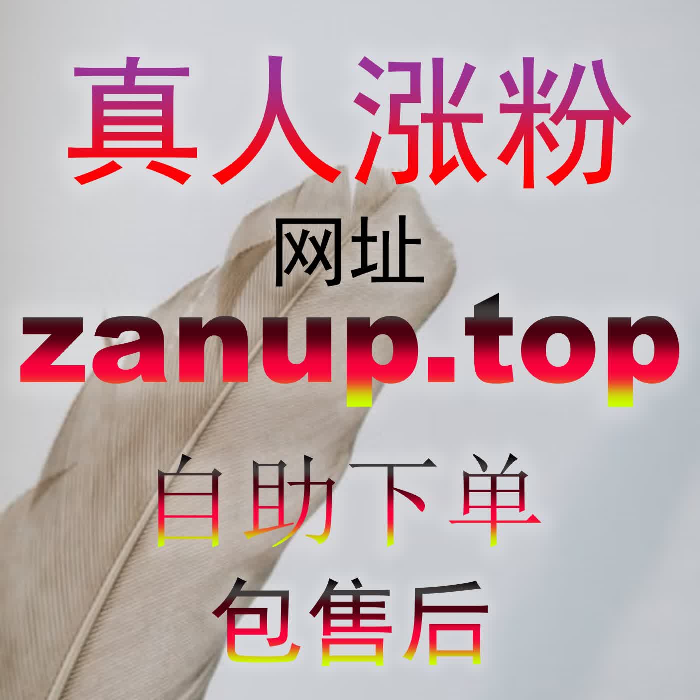彻底解决新号流量冷启动难题：搭配 zan3.top 方案实现爆款内容精准曝光 podcast artwork