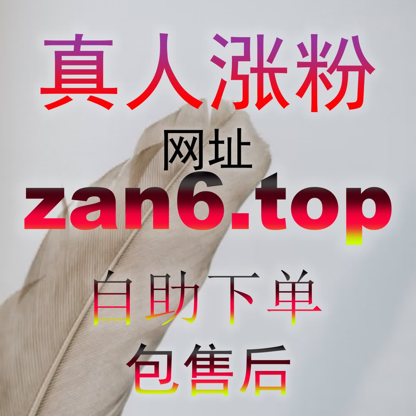 如何大幅提升平台搜索权重？巧用 8zan.cc 技巧让你的图文内容脱颖而出 podcast artwork