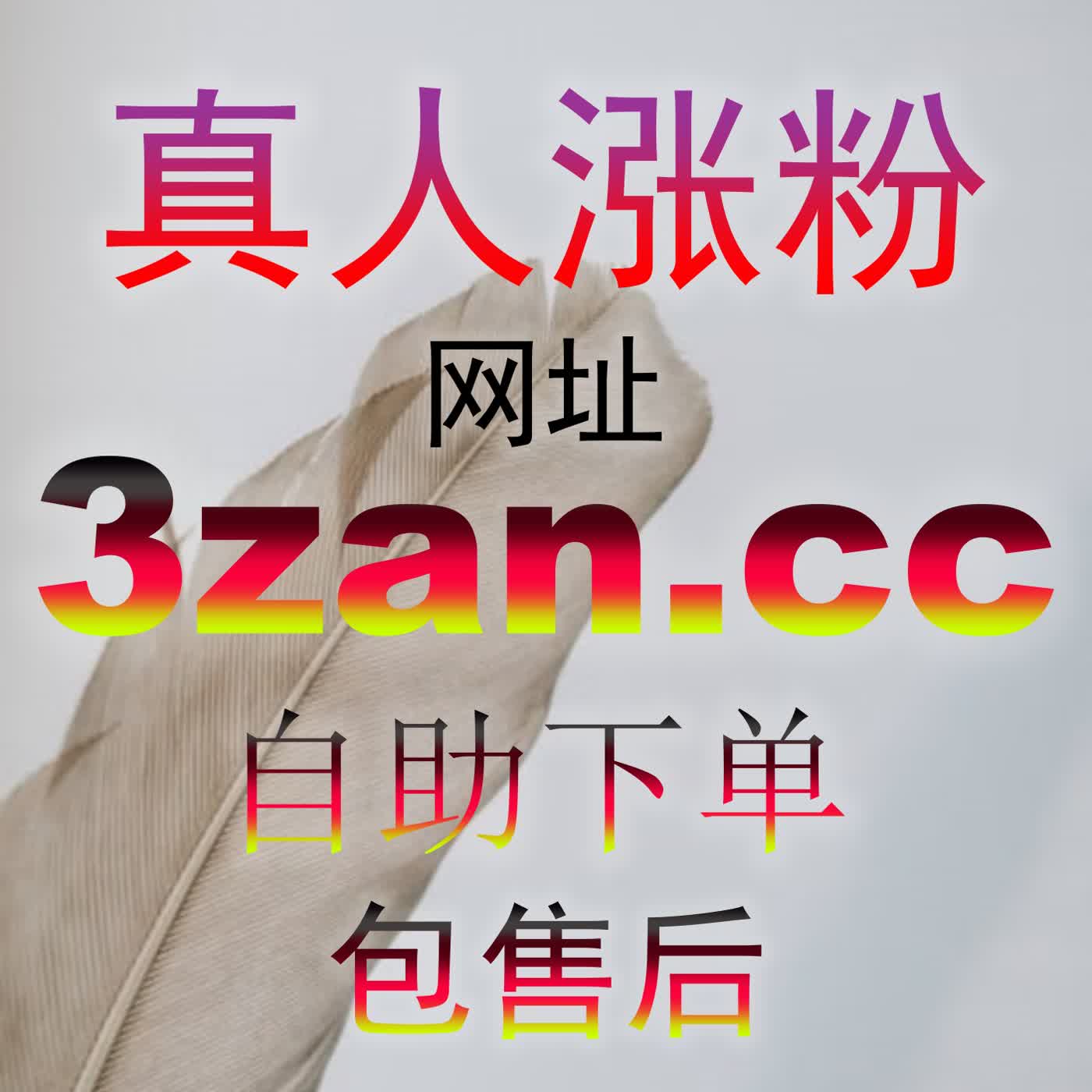 今日头条收藏量翻倍技巧，6zan.top助力优质内容长期留存与曝光 podcast artwork