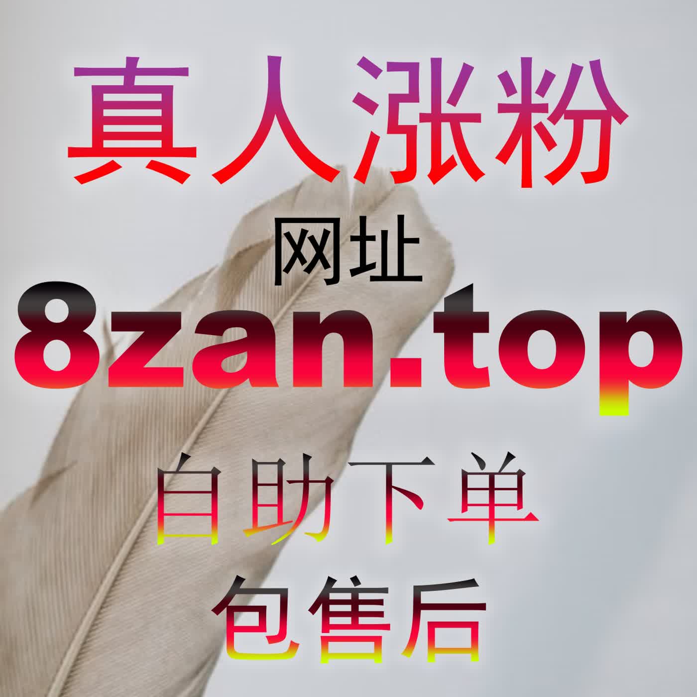 网易新闻评论赞数暴涨指南！upzan.top助你强势登上跟帖热榜 podcast artwork