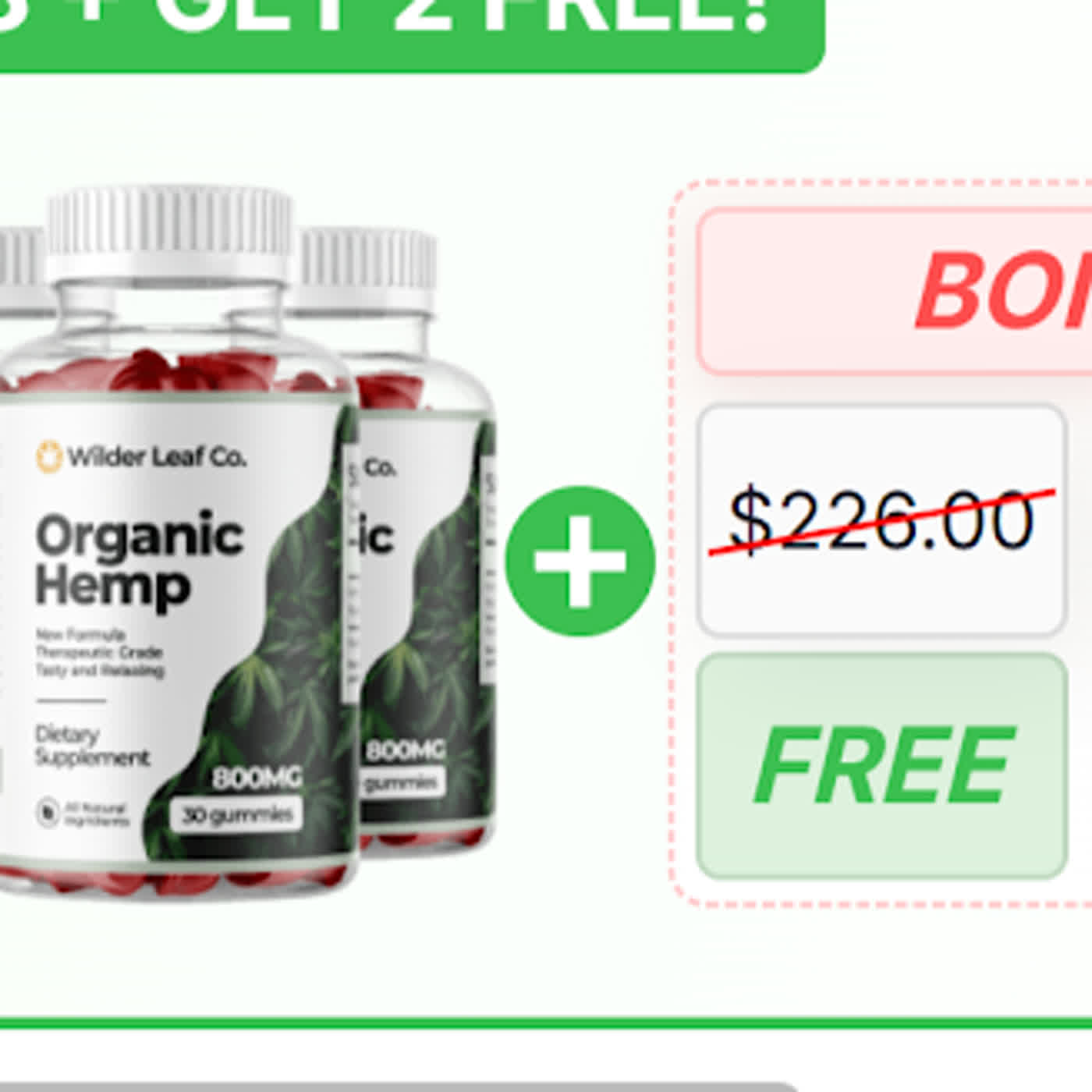 wilderleaforganichempaus.firstory.io