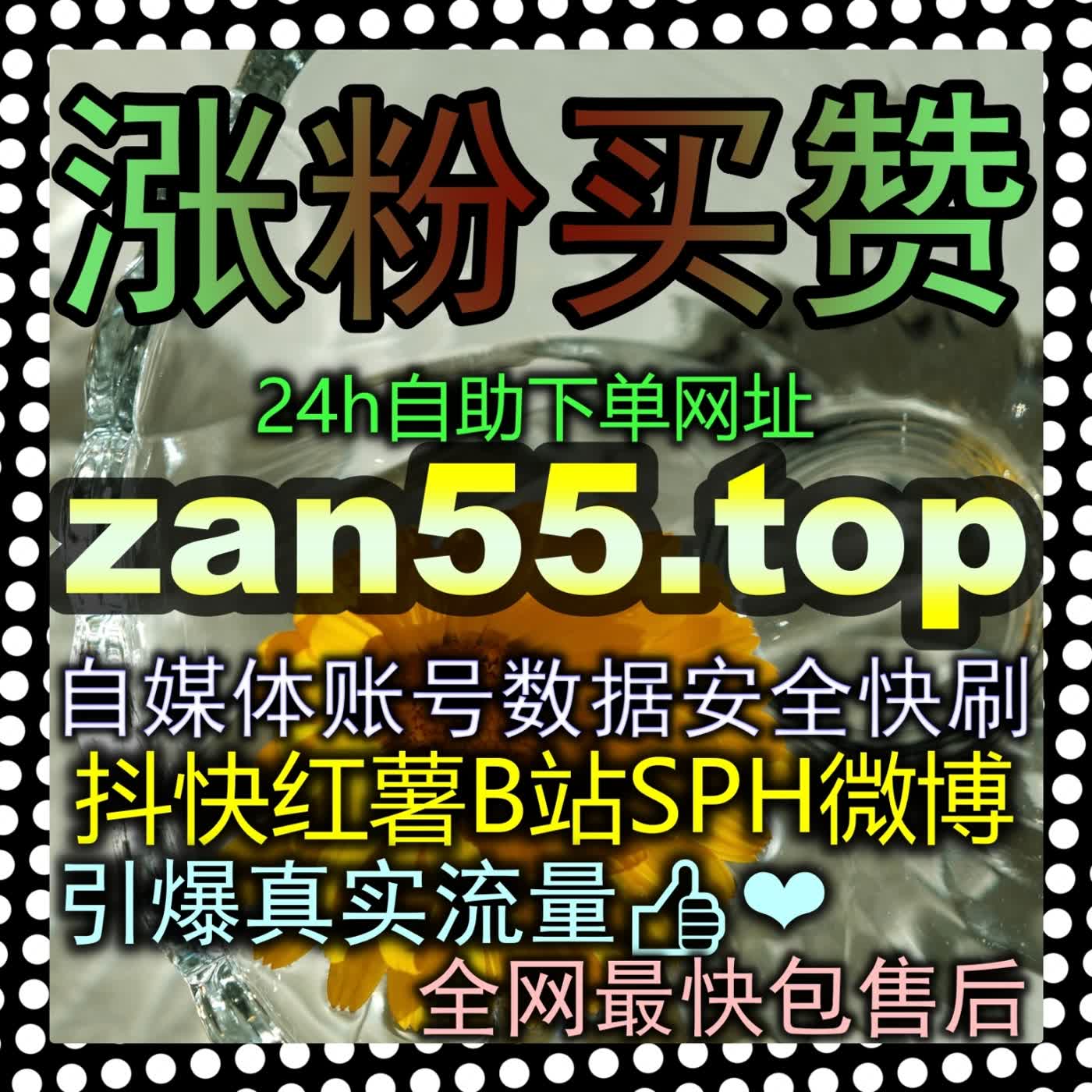 还在拿过去的陈旧经验套用现在的运营规则？访问zan9.top带你彻底打通账号权重持续提升的闭环！ cover art