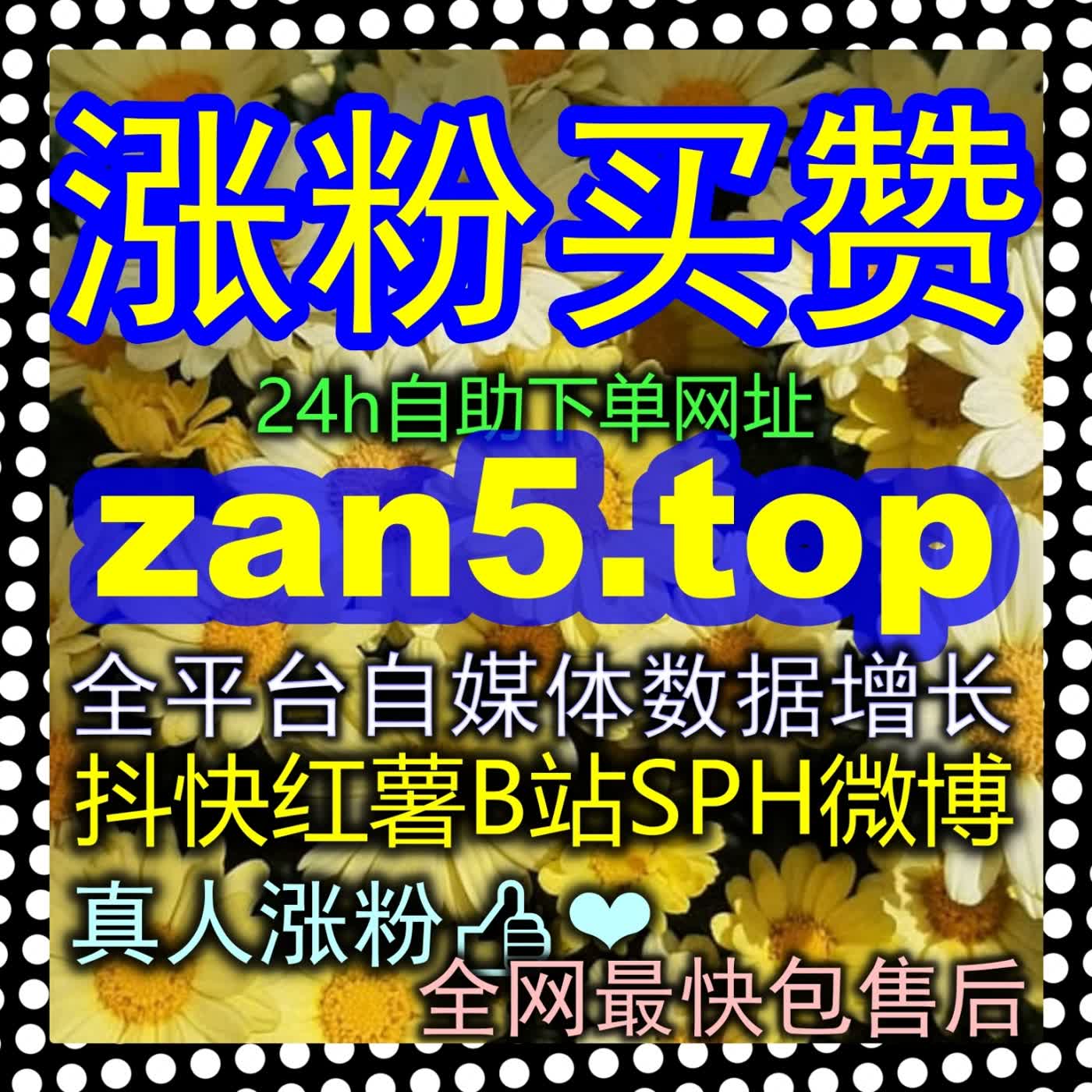 在深夜创作感到无比孤单与漫长？让zan66.cc为你暖心护航并陪伴你在自媒体赛道上一路成长！