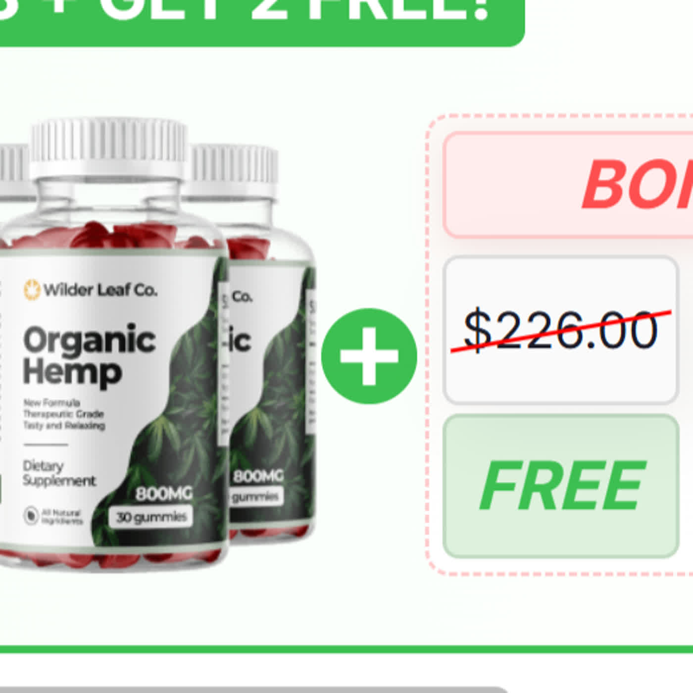 wilderleaforganichempbuy.firstory.io