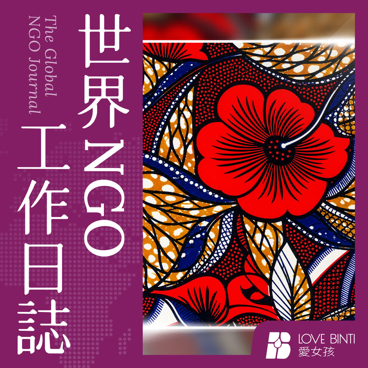 世界 NGO 工作日誌