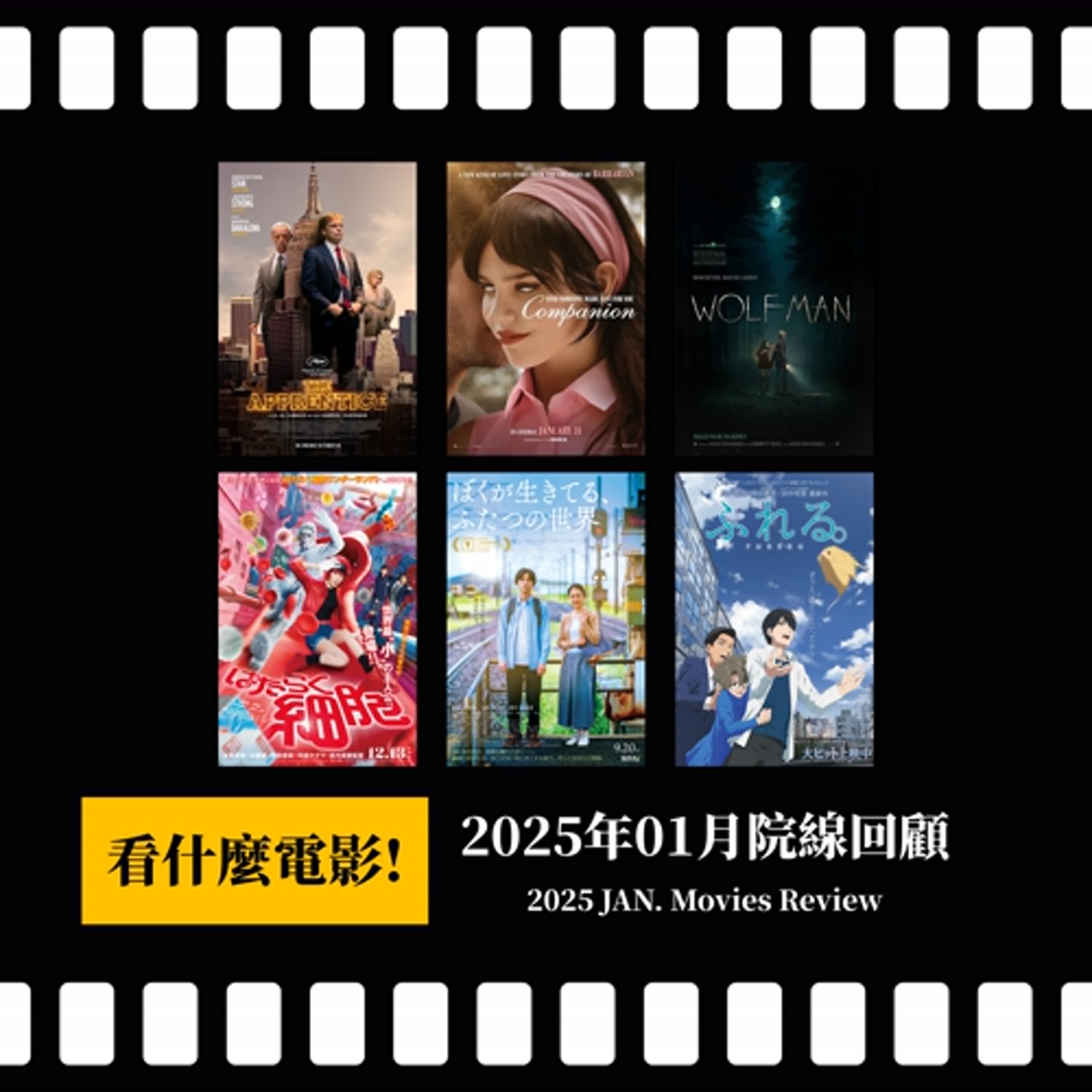 【看什麼電影!】《完美伴侶》《狼人》《狂人法則》《工作細胞》《心之觸碰》《我生活的兩個世界》| PODCAST XXY + Jericho