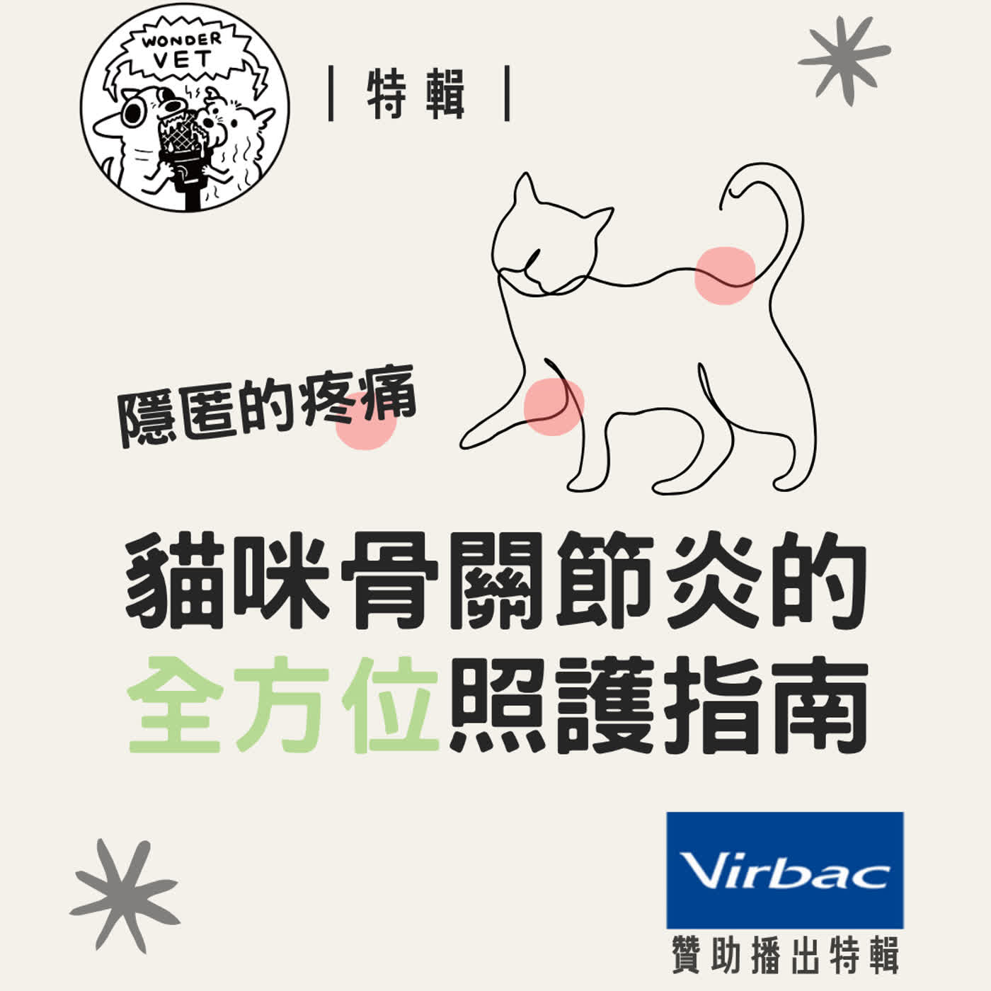 ｜特輯｜隱匿的疼痛：貓咪骨關節炎的全方位照護指南