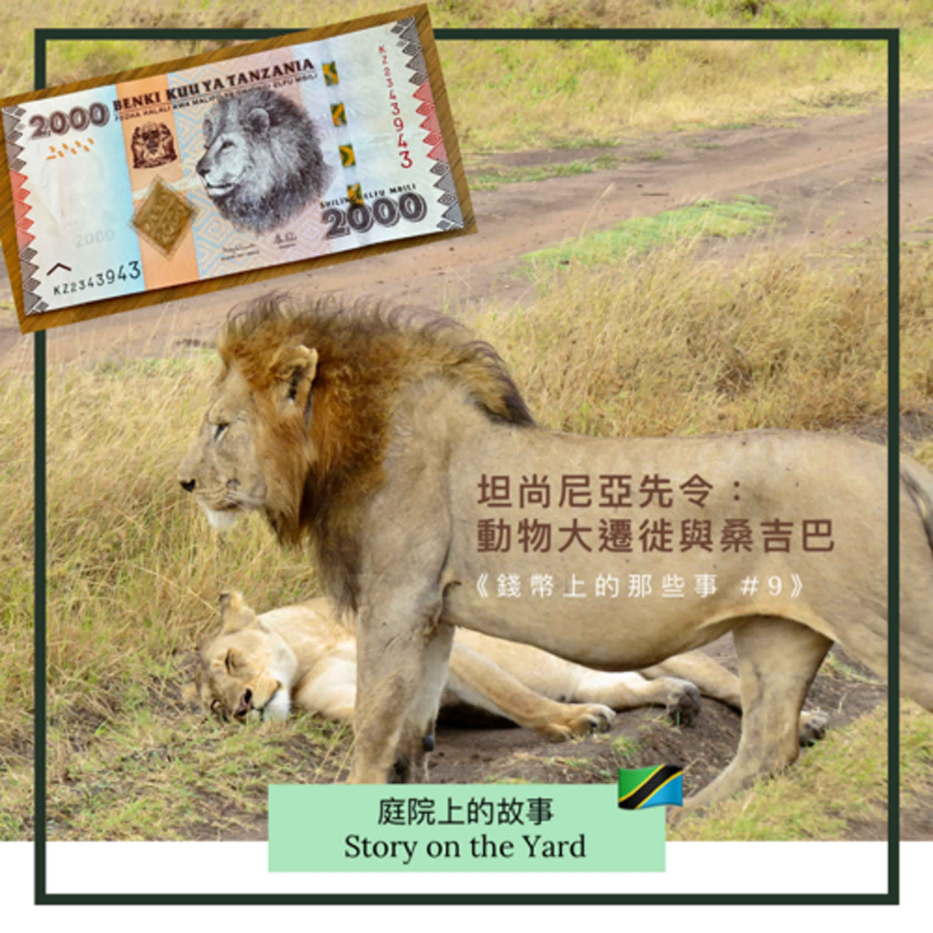 坦尚尼亞先令:動物大遷徙與尚吉巴(上)《錢幣上的那些事 #9》