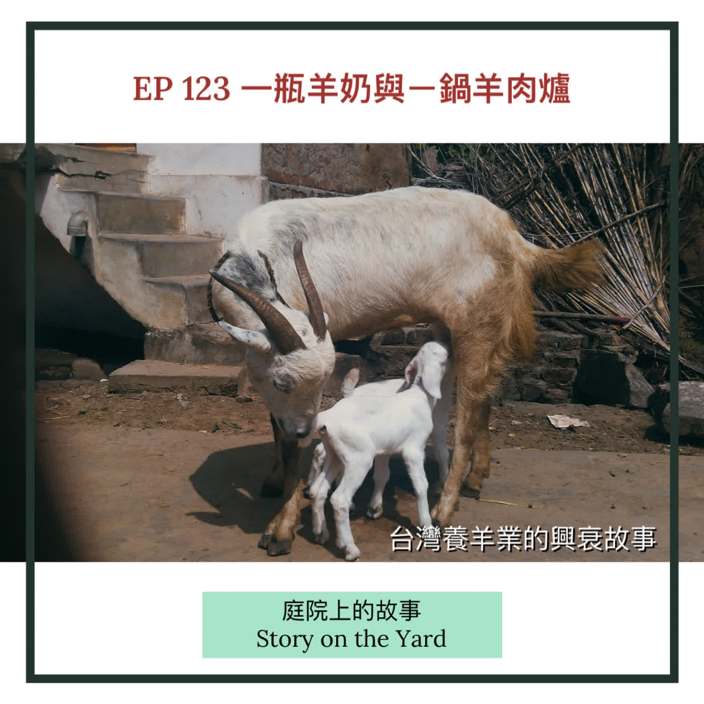 EP 123  一瓶羊奶與一鍋羊肉爐：台灣養羊業的興衰故事