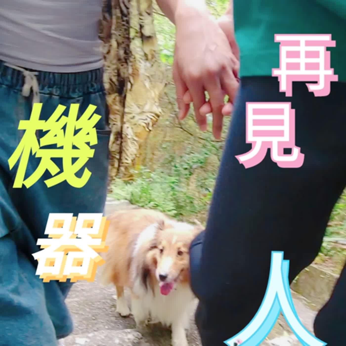 再見機器人 episode artwork