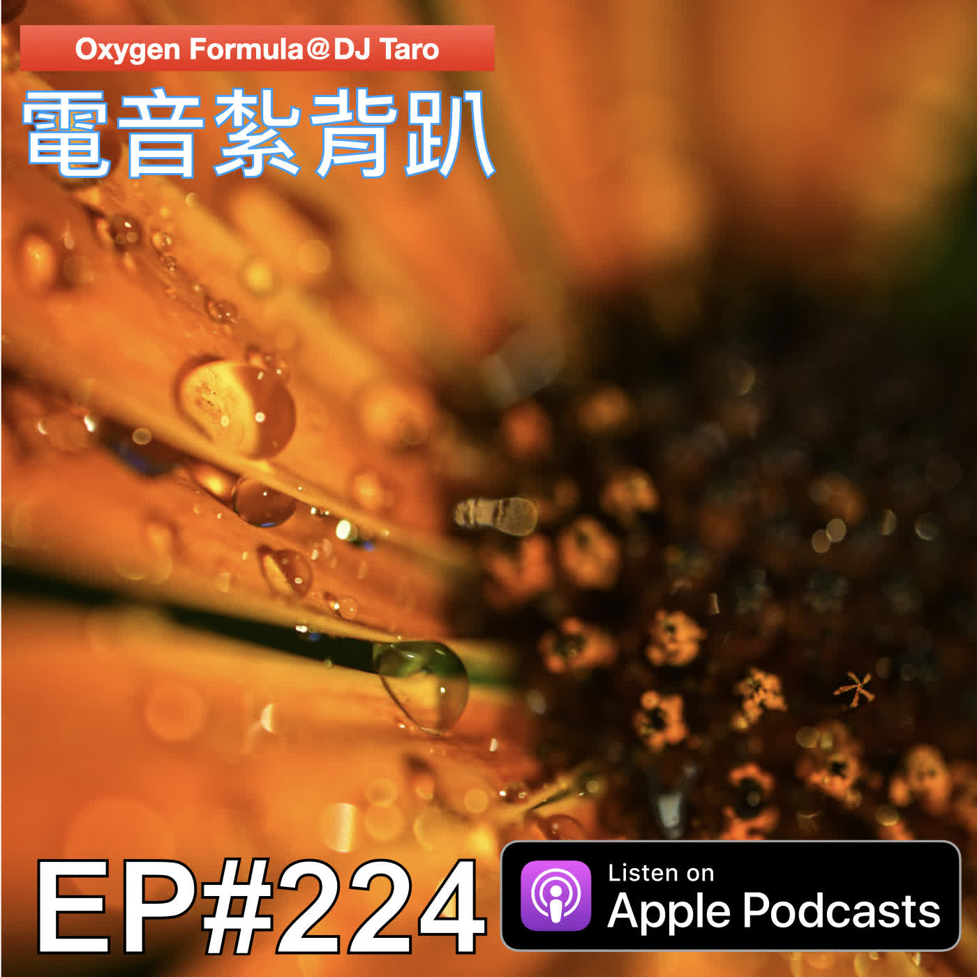 EP224【派對電音】蹲得愈低，腳就愈痠；在哪裡跌倒，就在那裡躺好