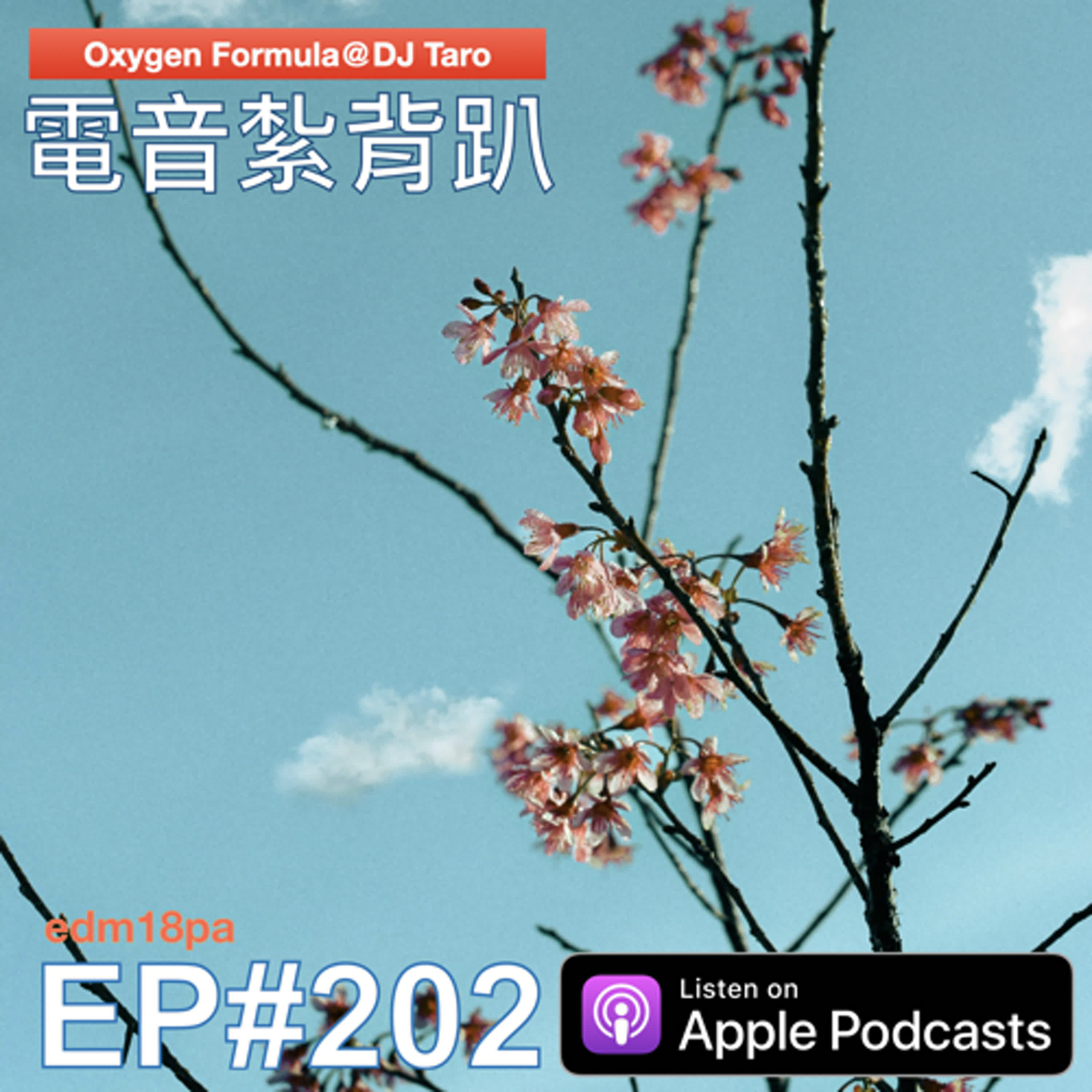 EP202【派對電音】涉江而過，芙蓉千朵；詩也簡單，心也簡單