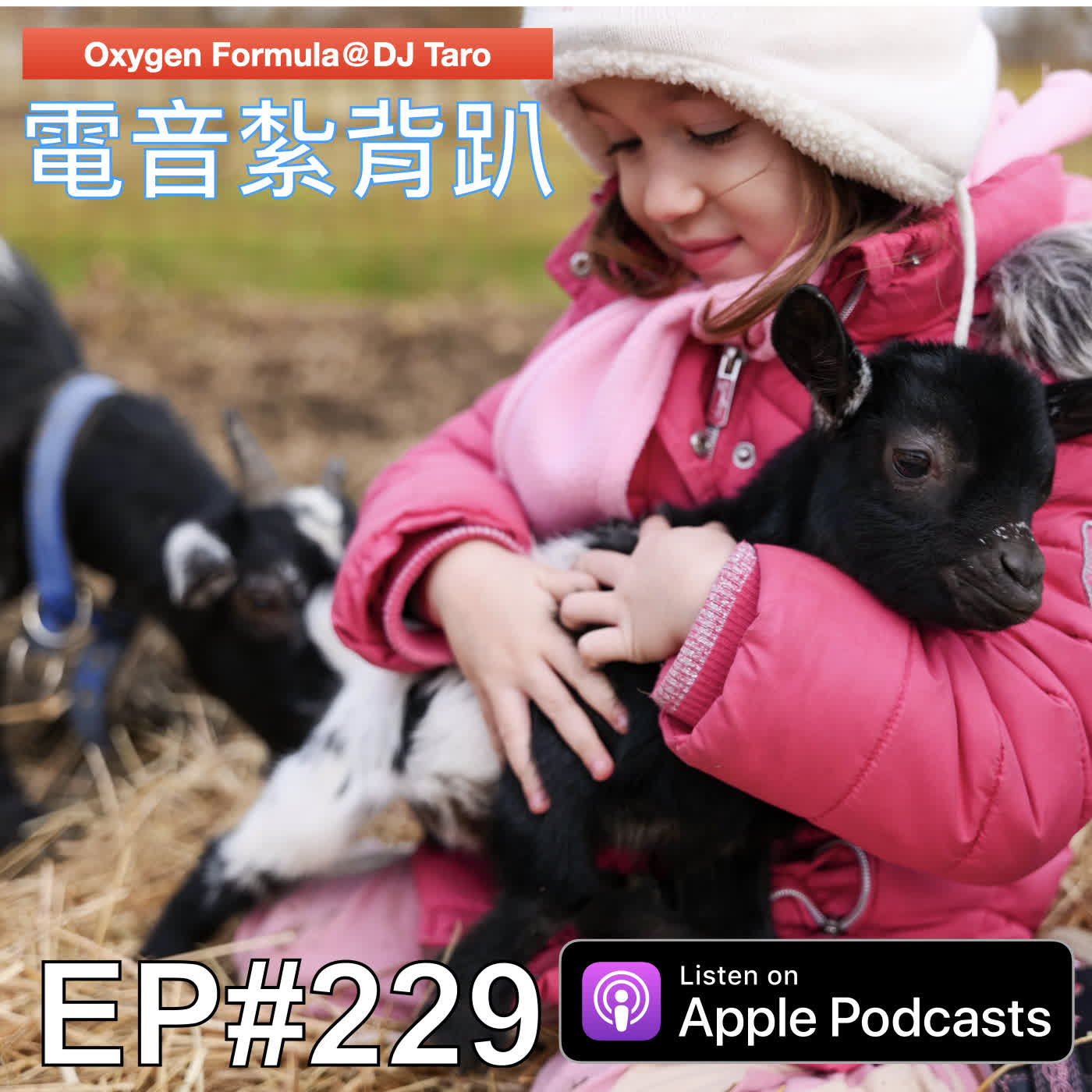EP229【派對電音】應無住所，而生其心 episode artwork