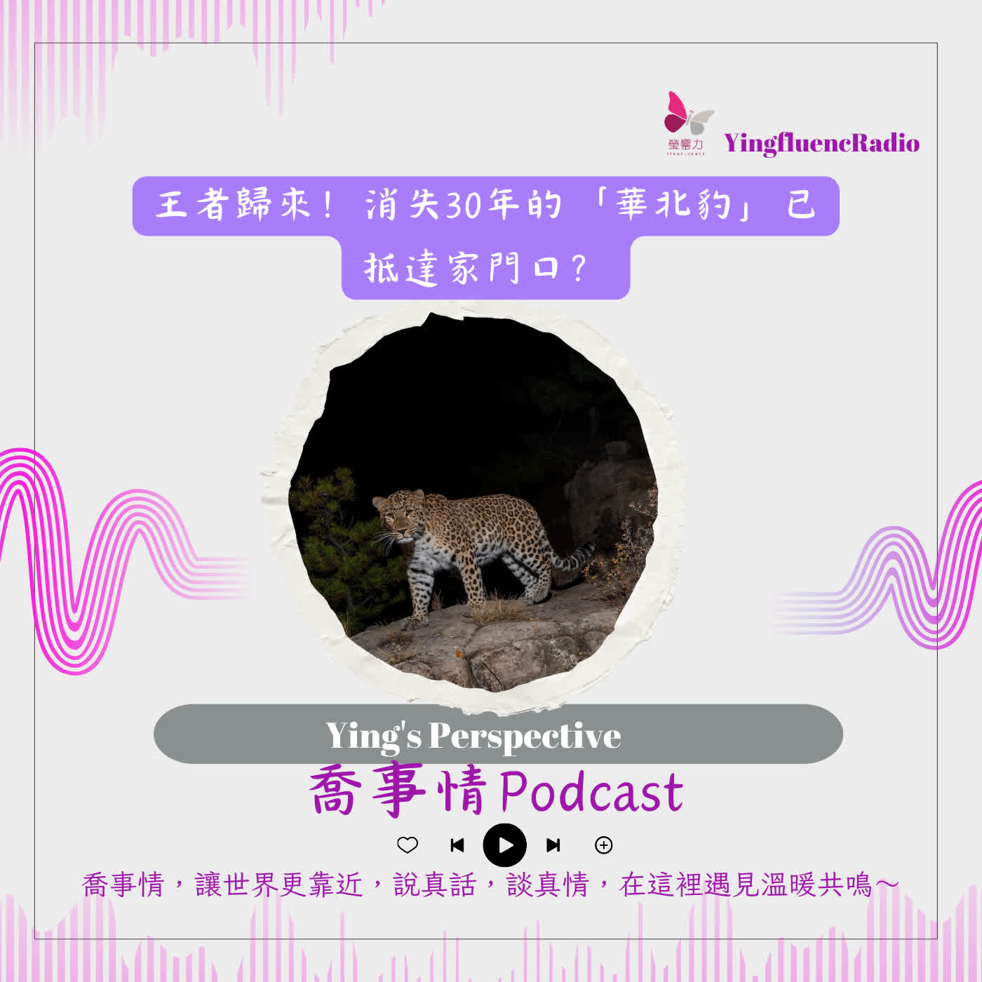 EP284瑩響力電台-喬事情-62-2026-3-20 王者歸來！消失30年的「華北豹」已抵達家門口？ episode artwork