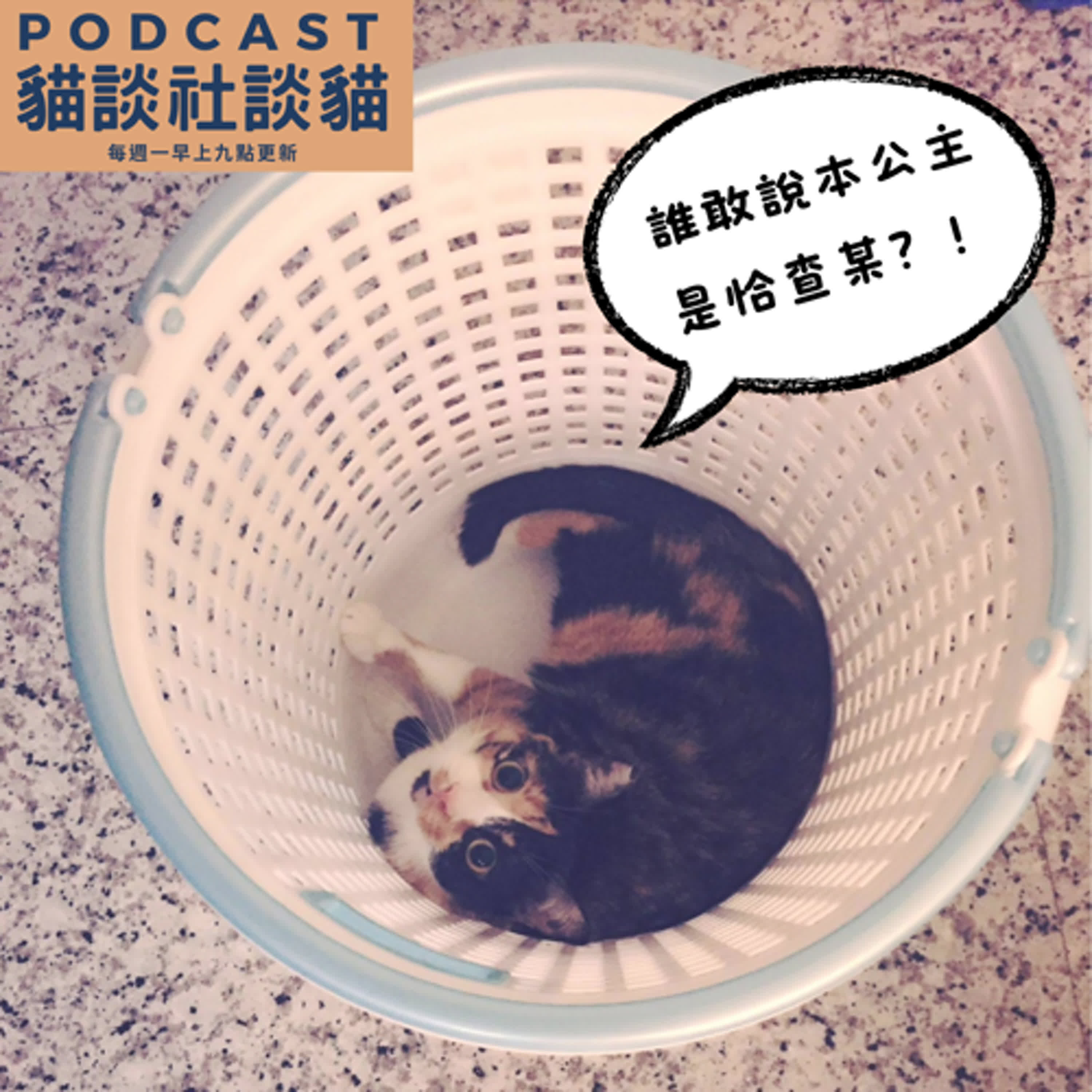 S10EP11 迷戀三花貓的貓美容師 ft. Art Cat貓美容工作室創辦人強強 episode artwork