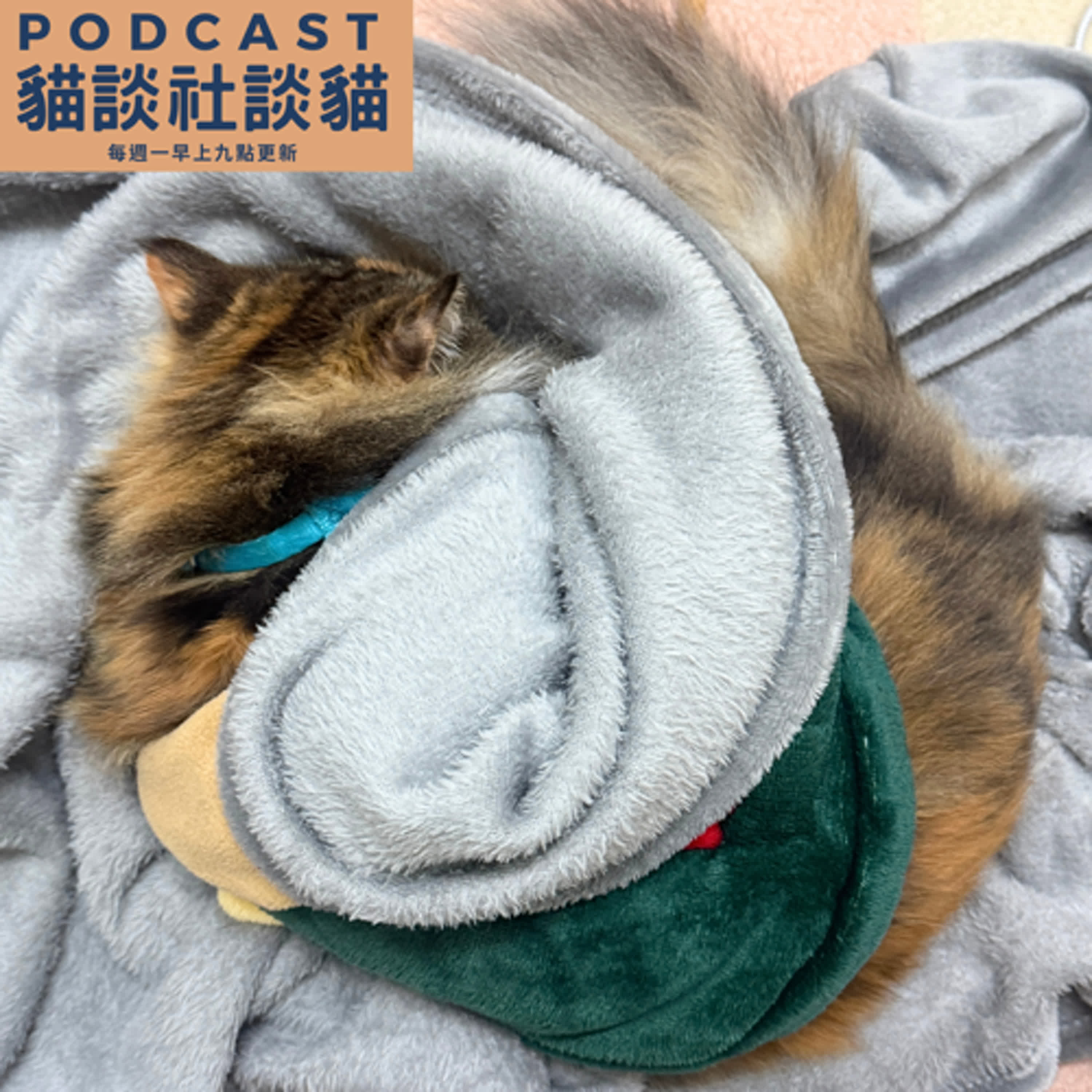 EP211 為什麼貓咪的壓力管理很重要? EP211 為什麼貓咪的壓力管理很重要?