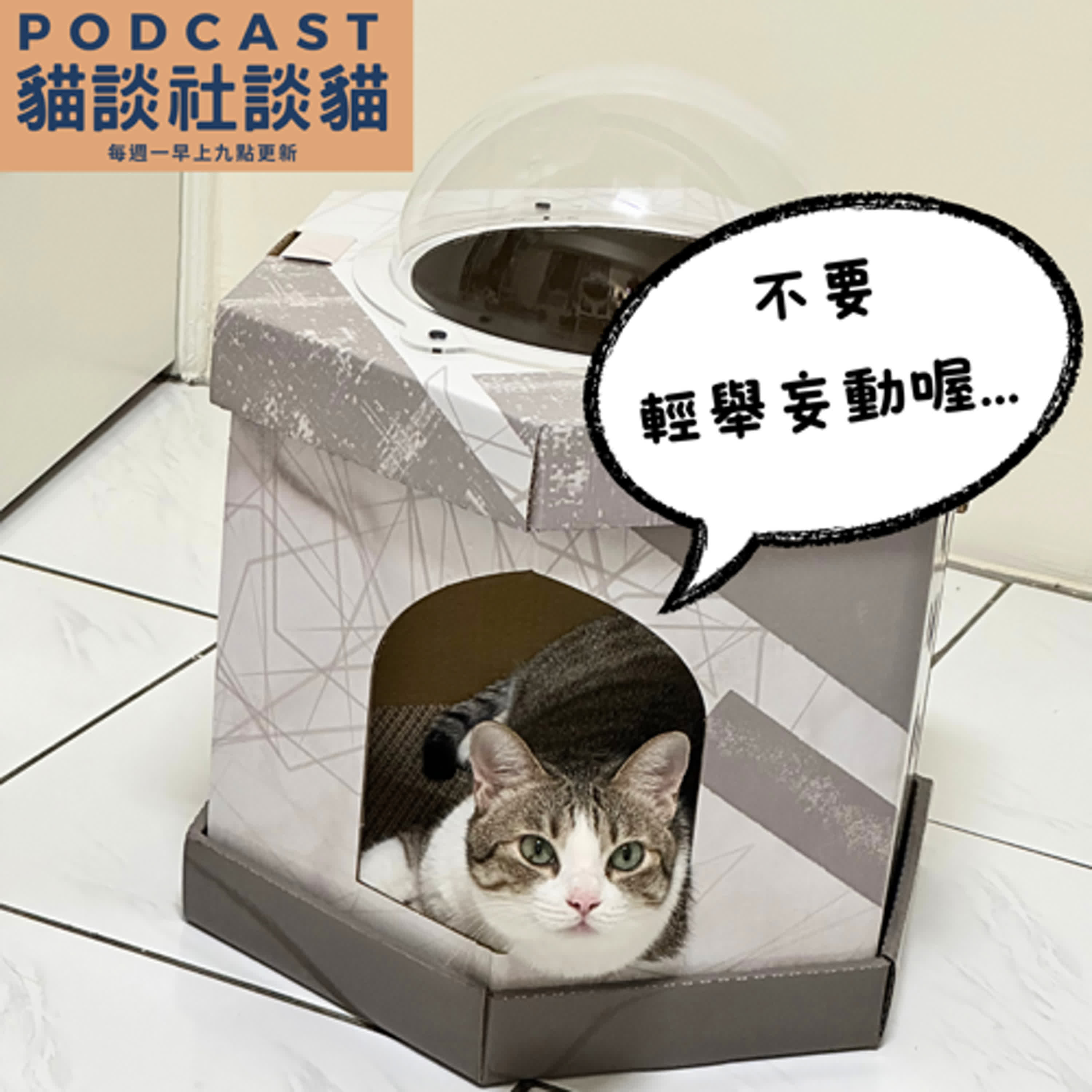 S10EP14 新貓不是解藥 episode artwork
