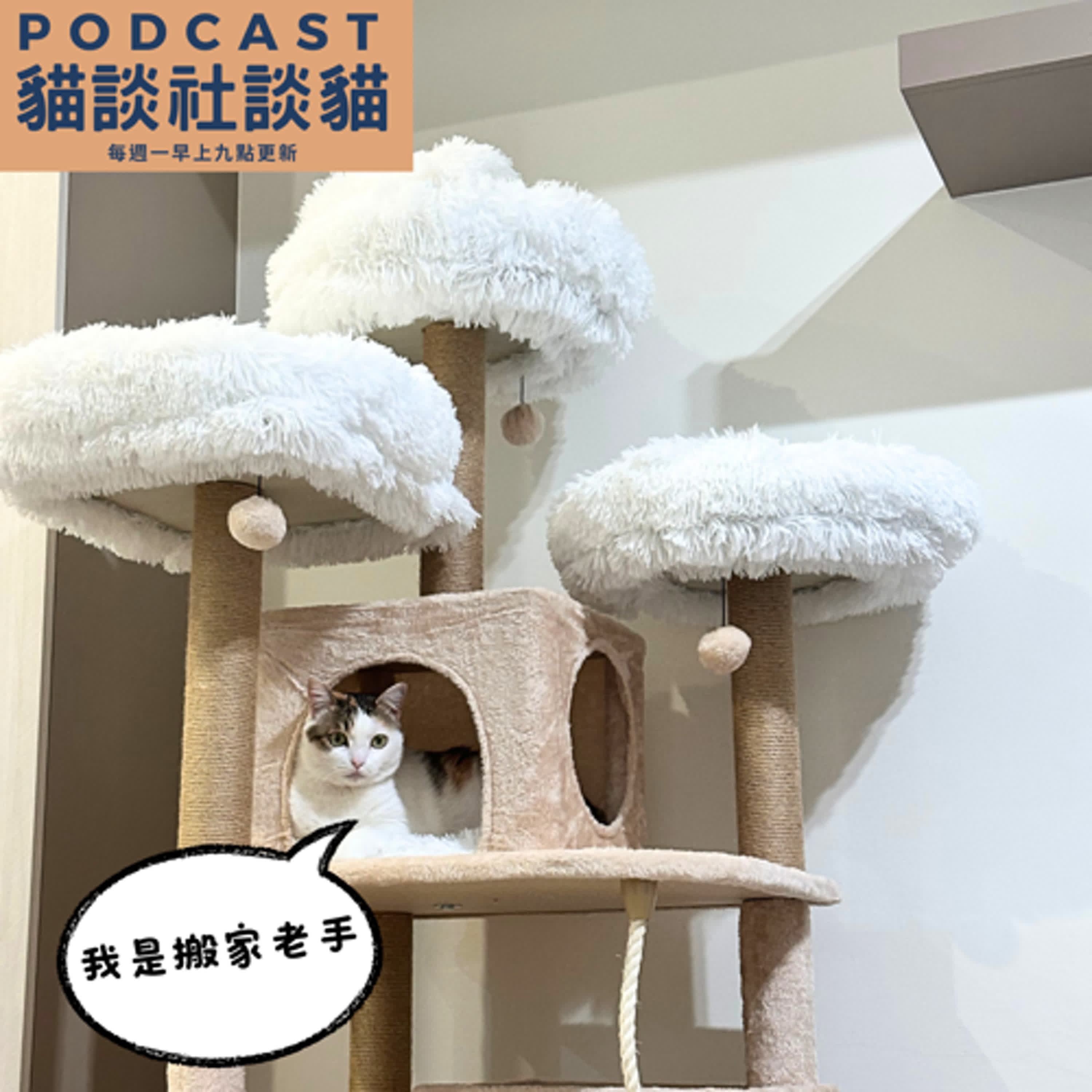 S10EP08 粒粒貓搬新家 ft.諮詢師Rumi