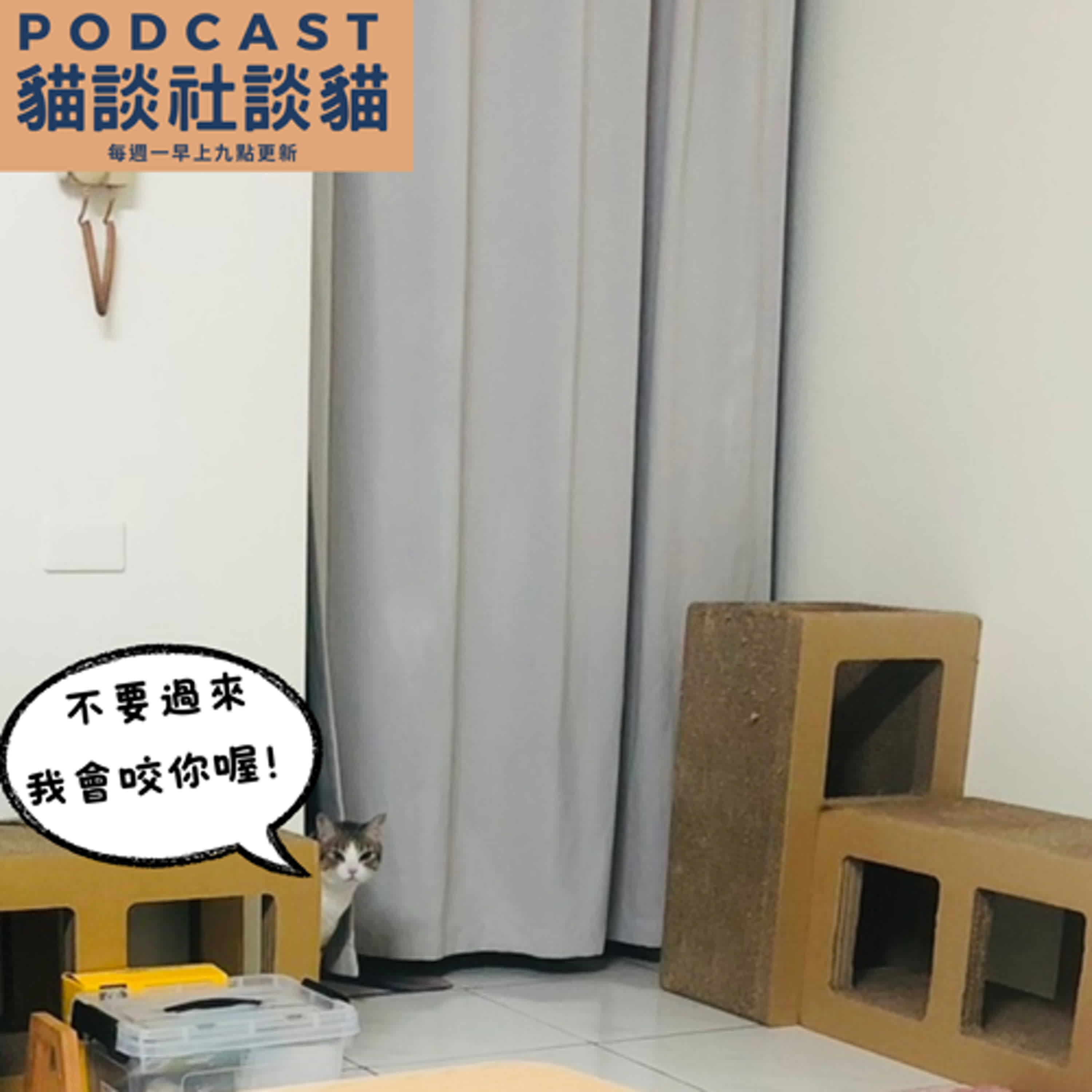 S10EP09 兌現壓力存款的出國時刻