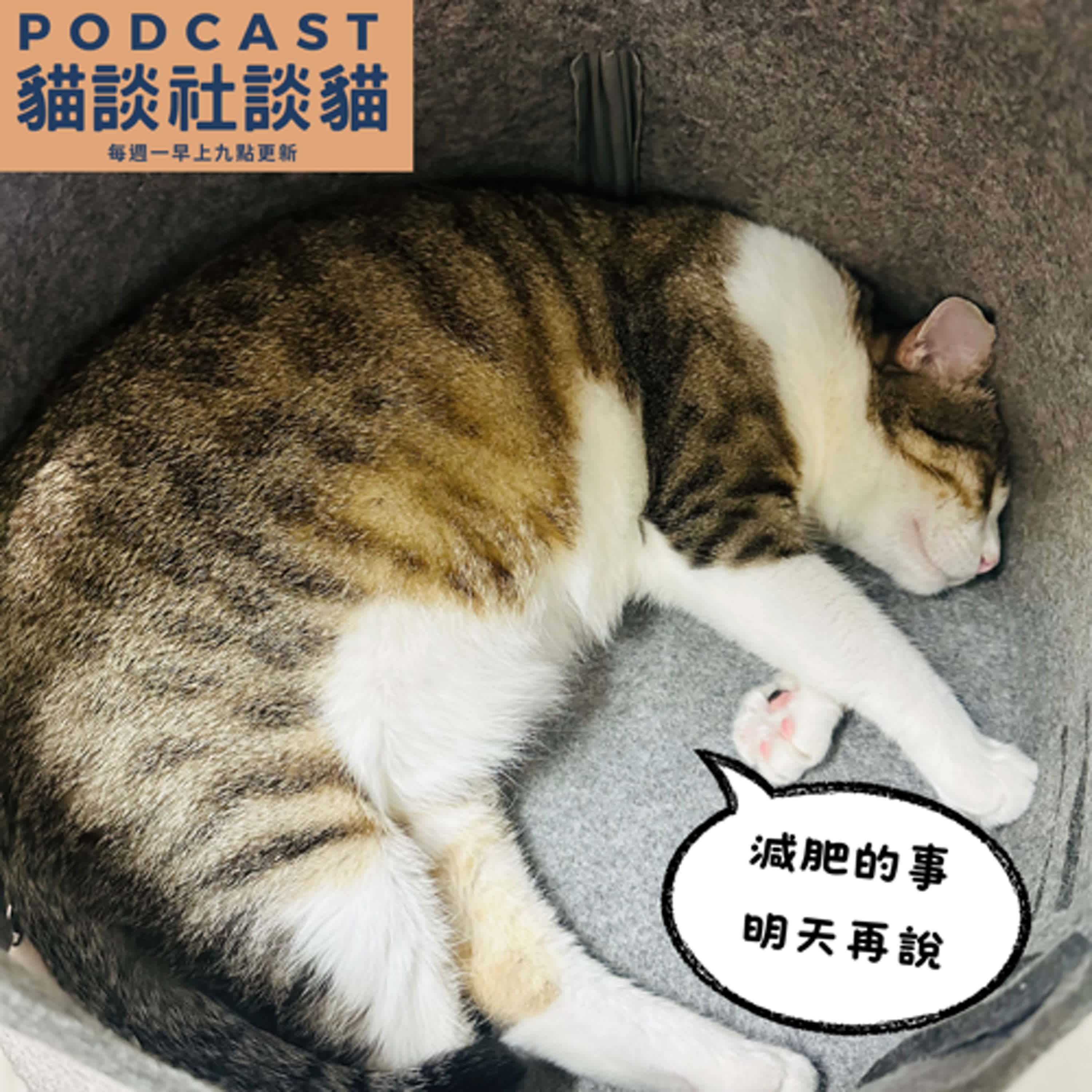 S10EP20 襪襪的減肥計劃