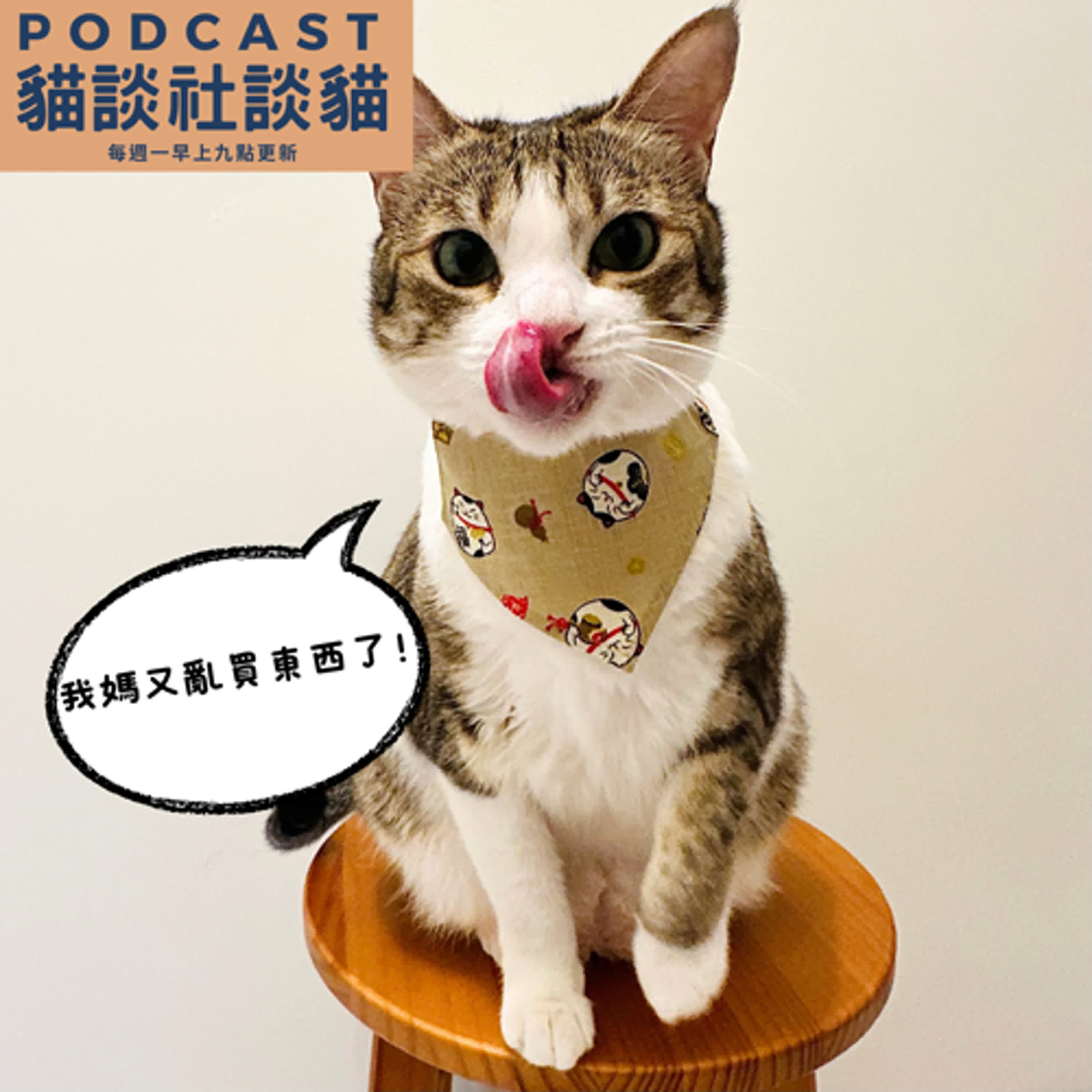 S10EP10 到日本去找貓！ episode artwork
