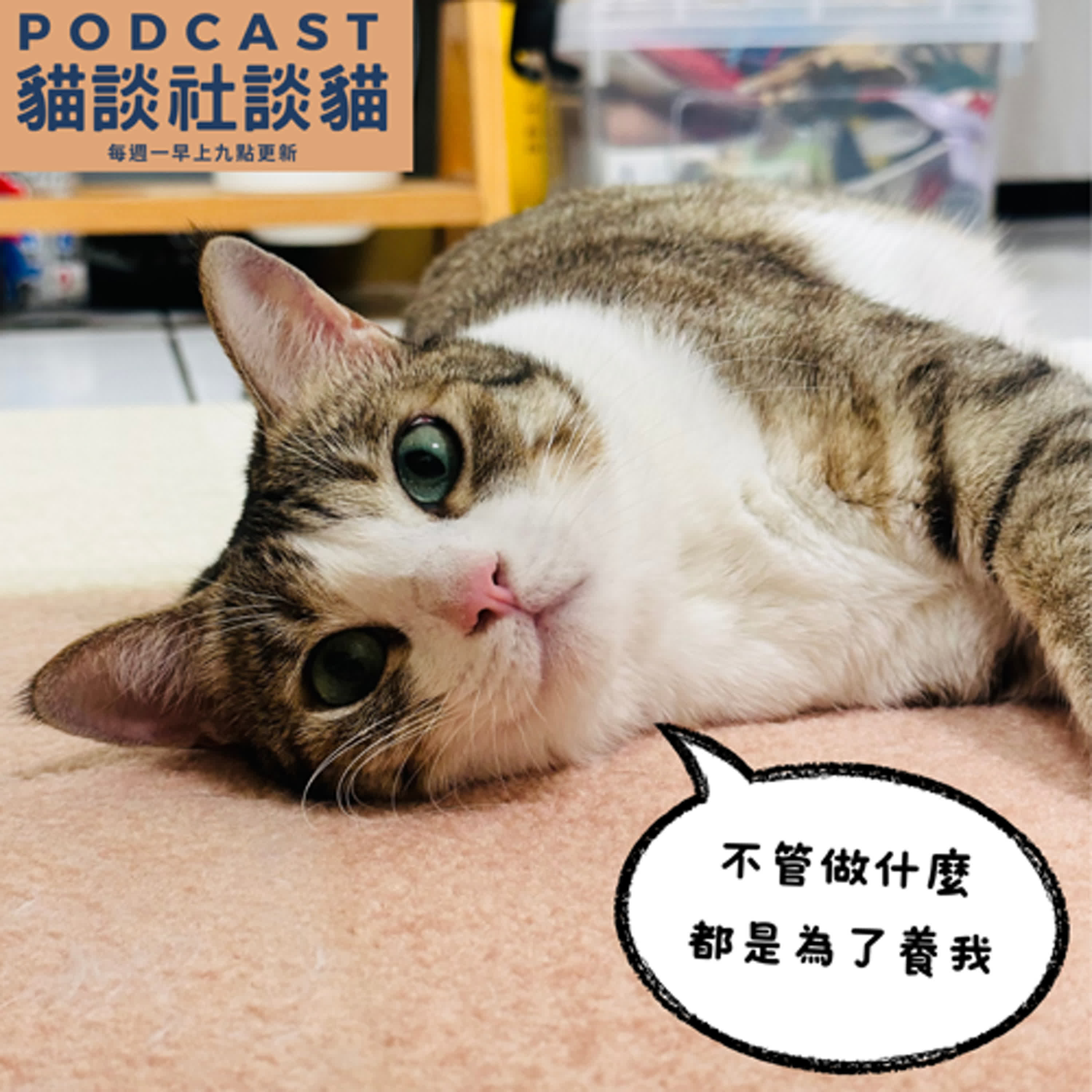 S10EP17 好好的店長不當，當什麼諮詢師！ episode artwork
