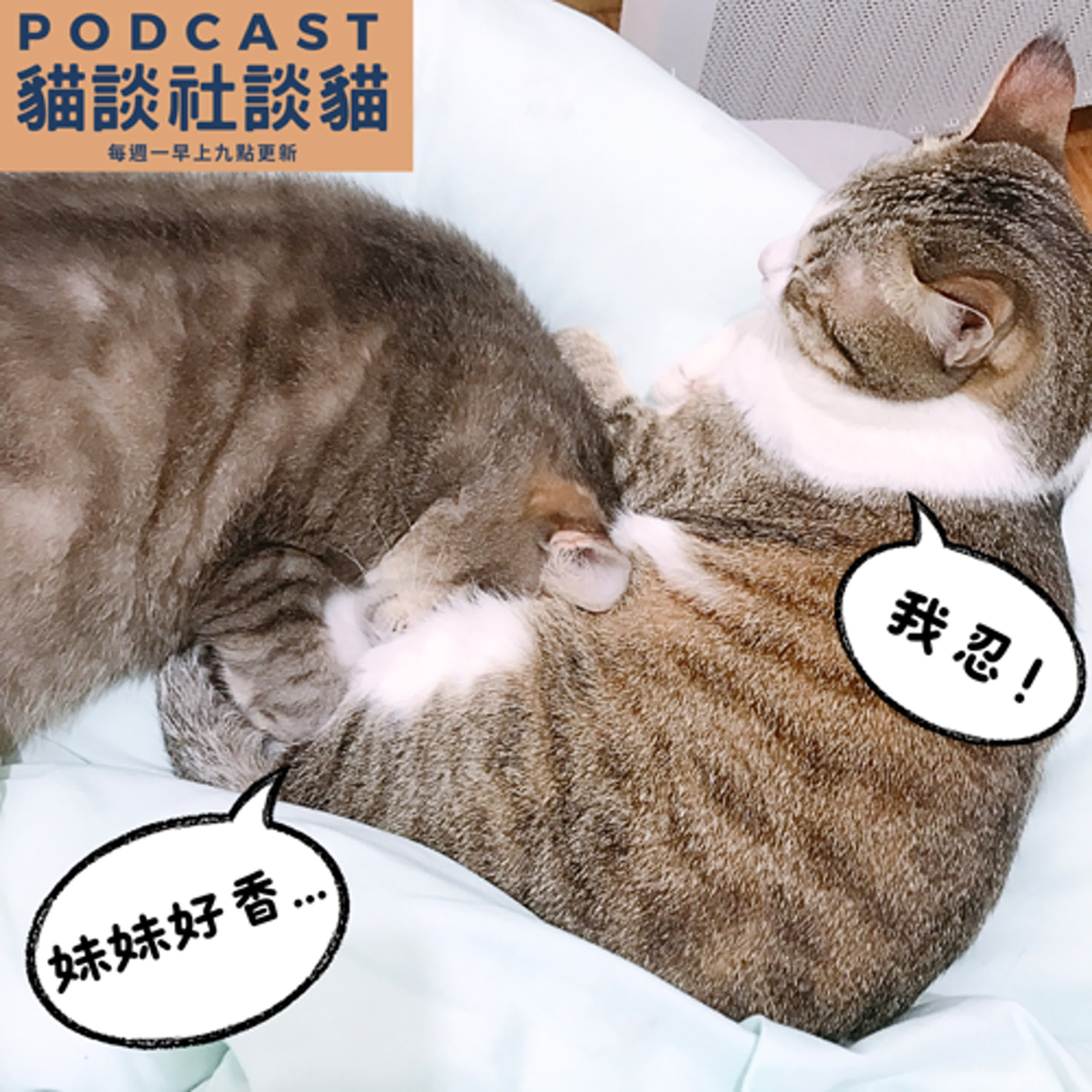 S10EP06 白目沒藥醫？！ episode artwork