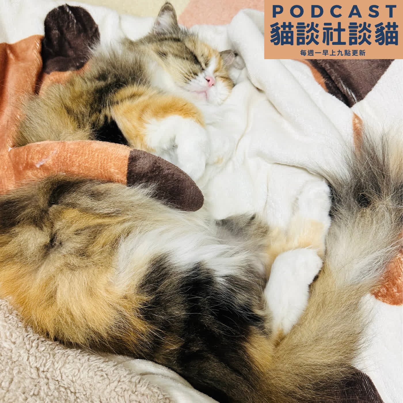 EP219 過年壓力測試：爸媽來住幾天？