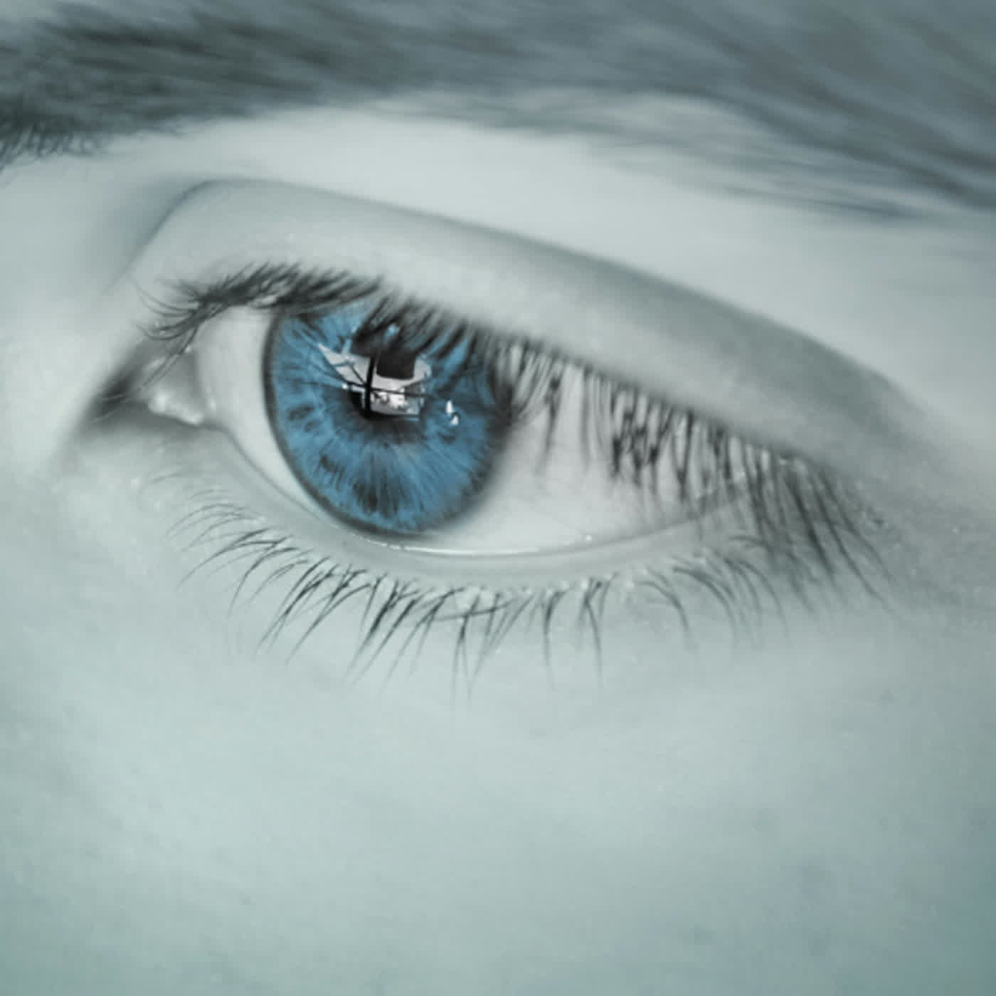 被畫作中的眼睛死死盯著看的怪談故事－藍眼睛