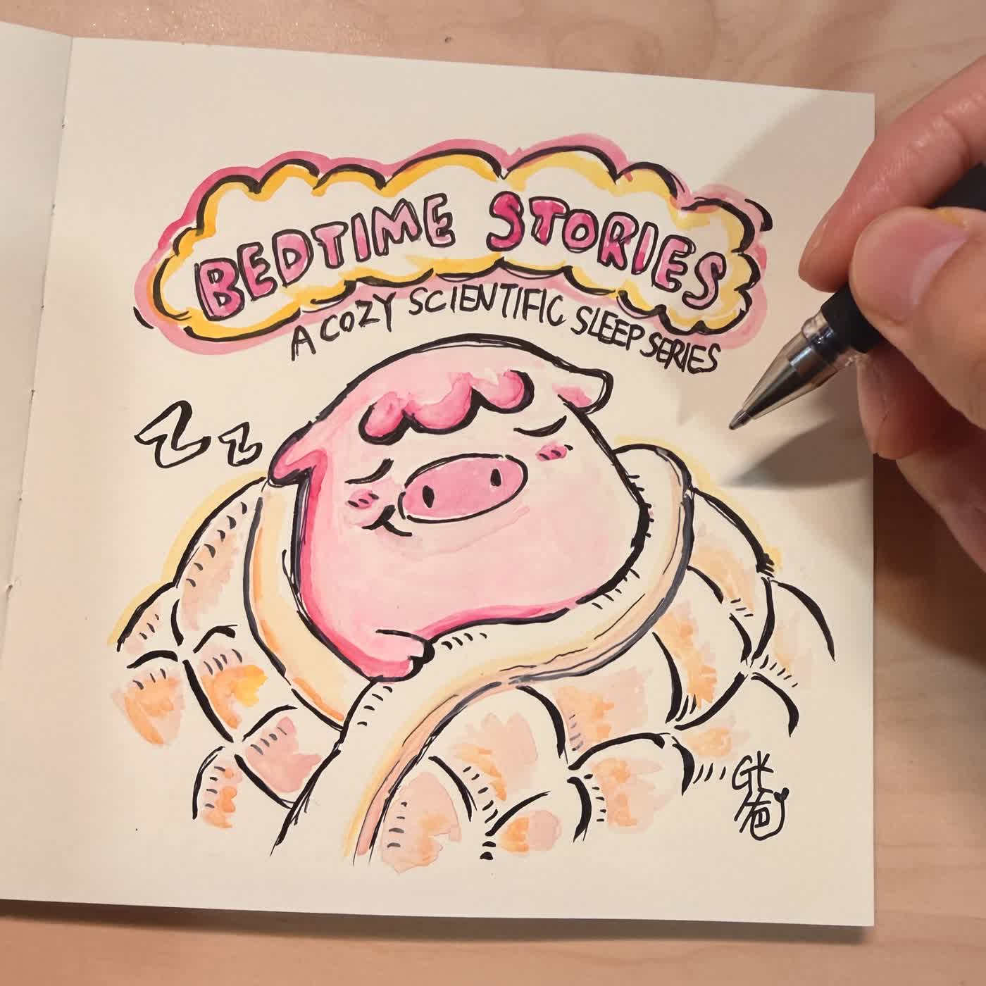 原來動物這樣睡!?