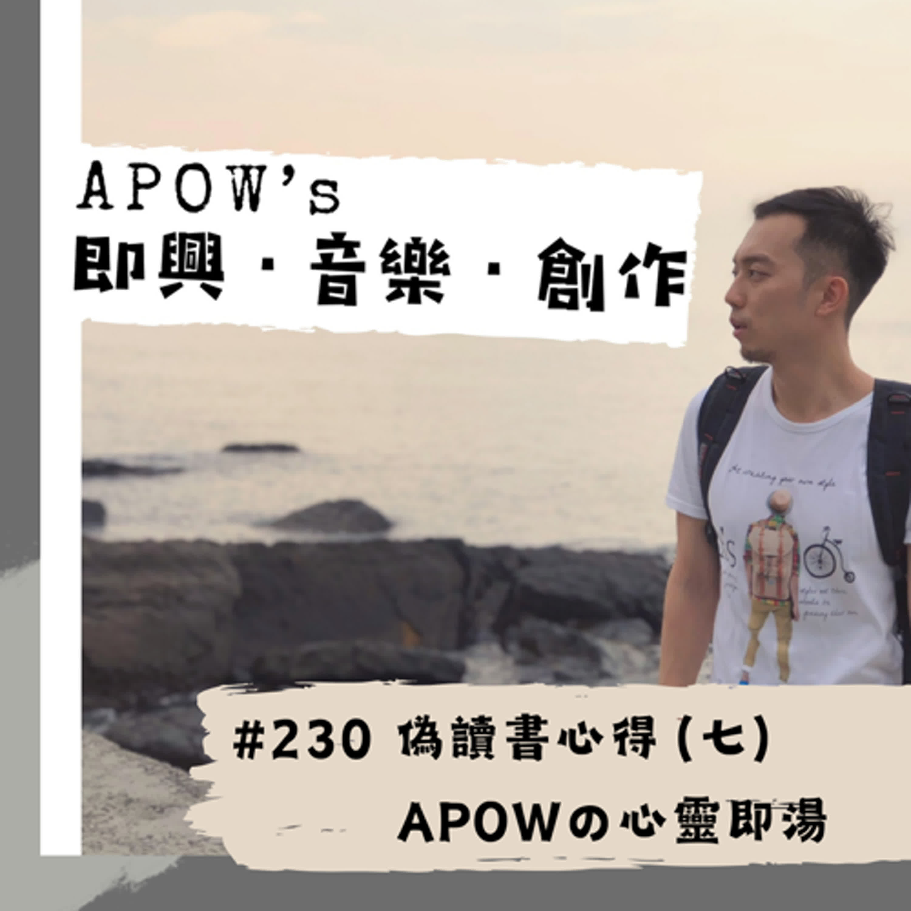 #230 偽讀書心得（七）APOWの心靈即湯