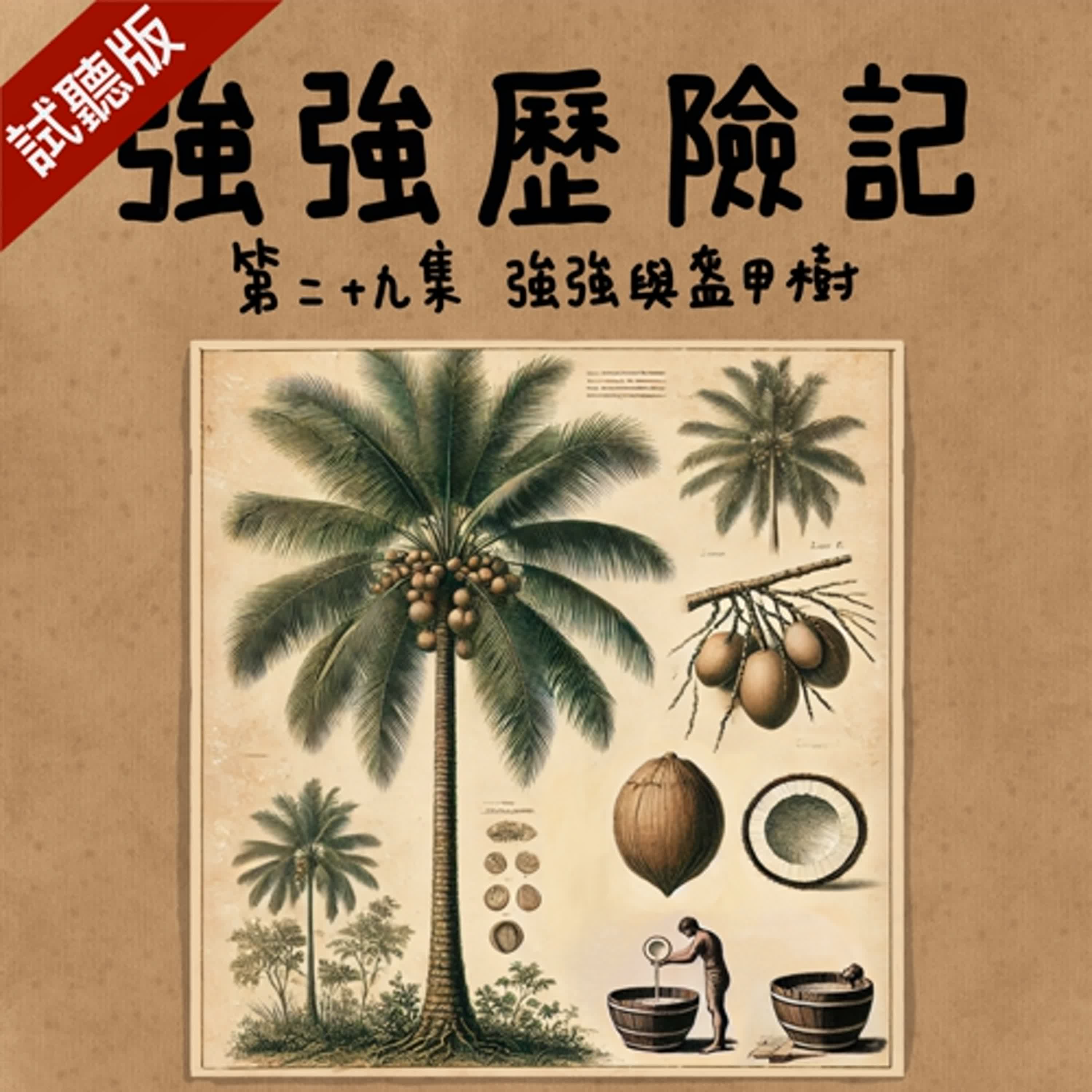 [試聽版] 強強歷險記EP29：強強與盔甲樹