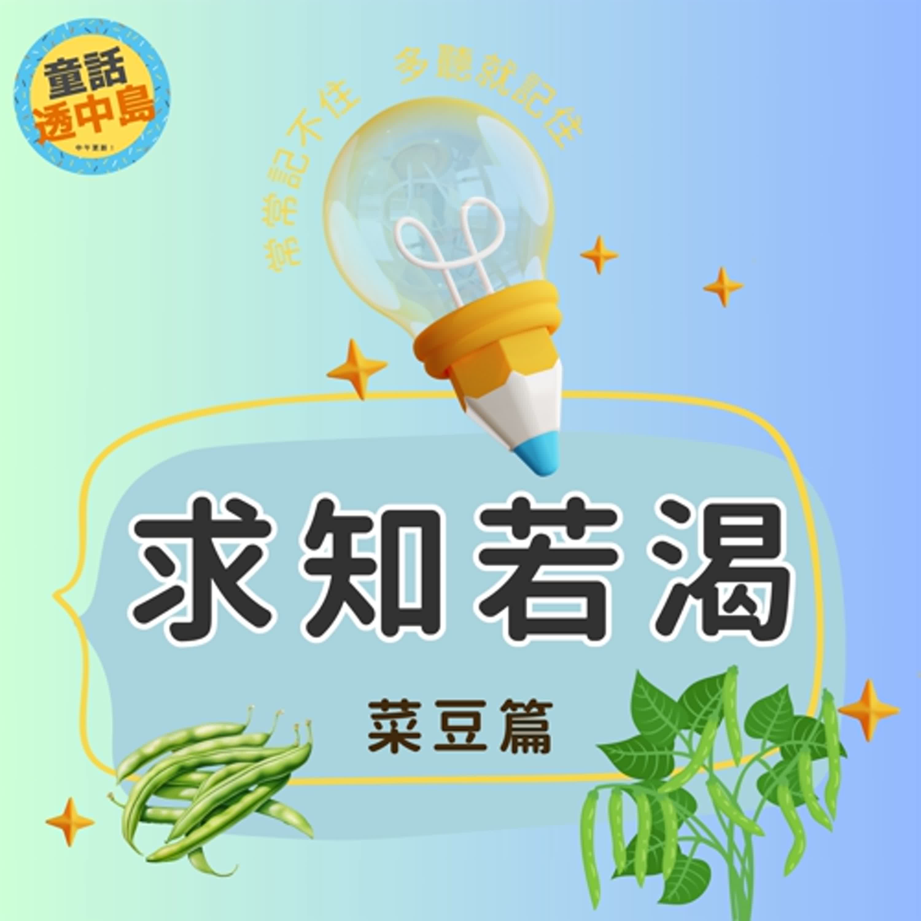 豆子世家(下)-菜豆們〖求知若渴〗