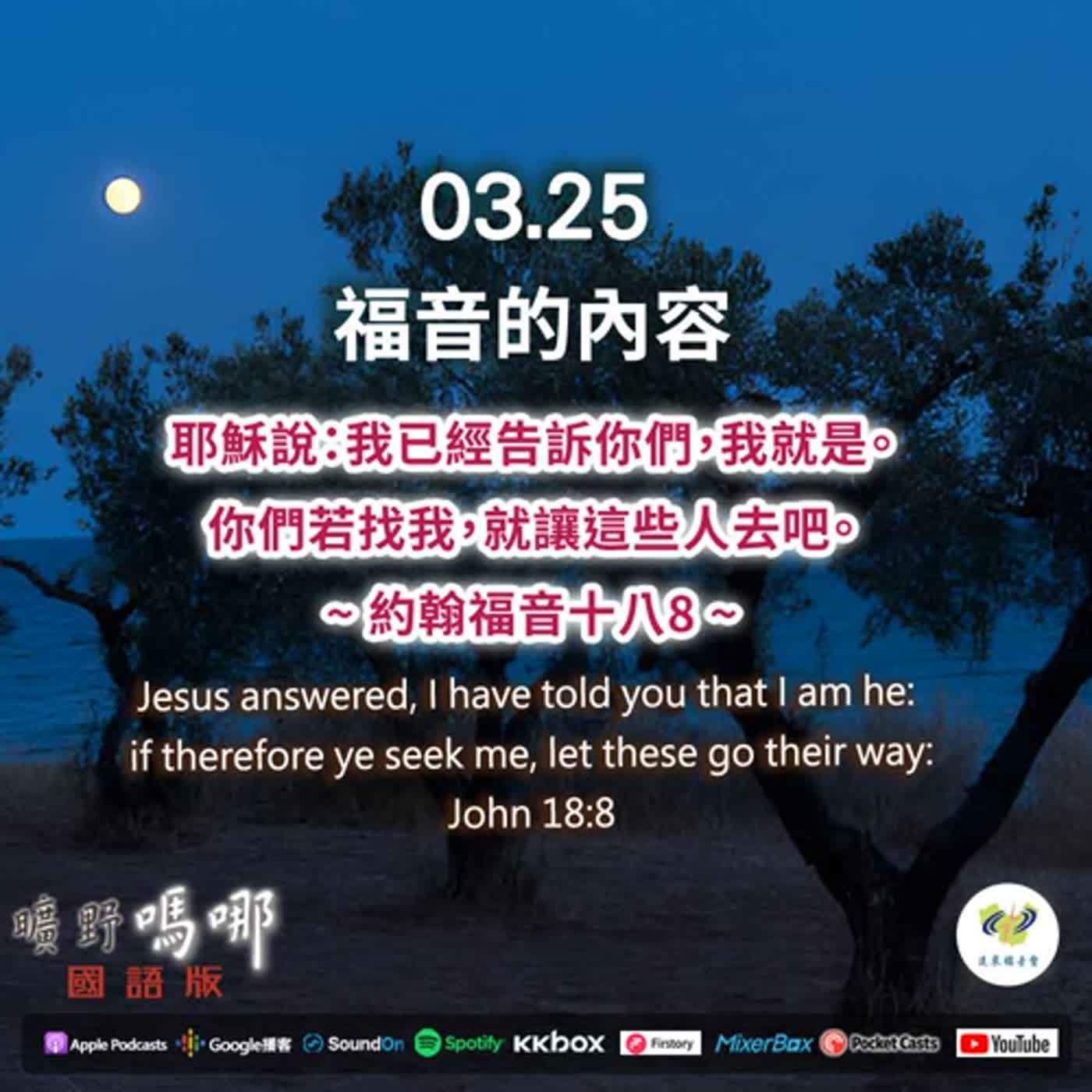 曠野嗎哪-福音的內容 episode artwork
