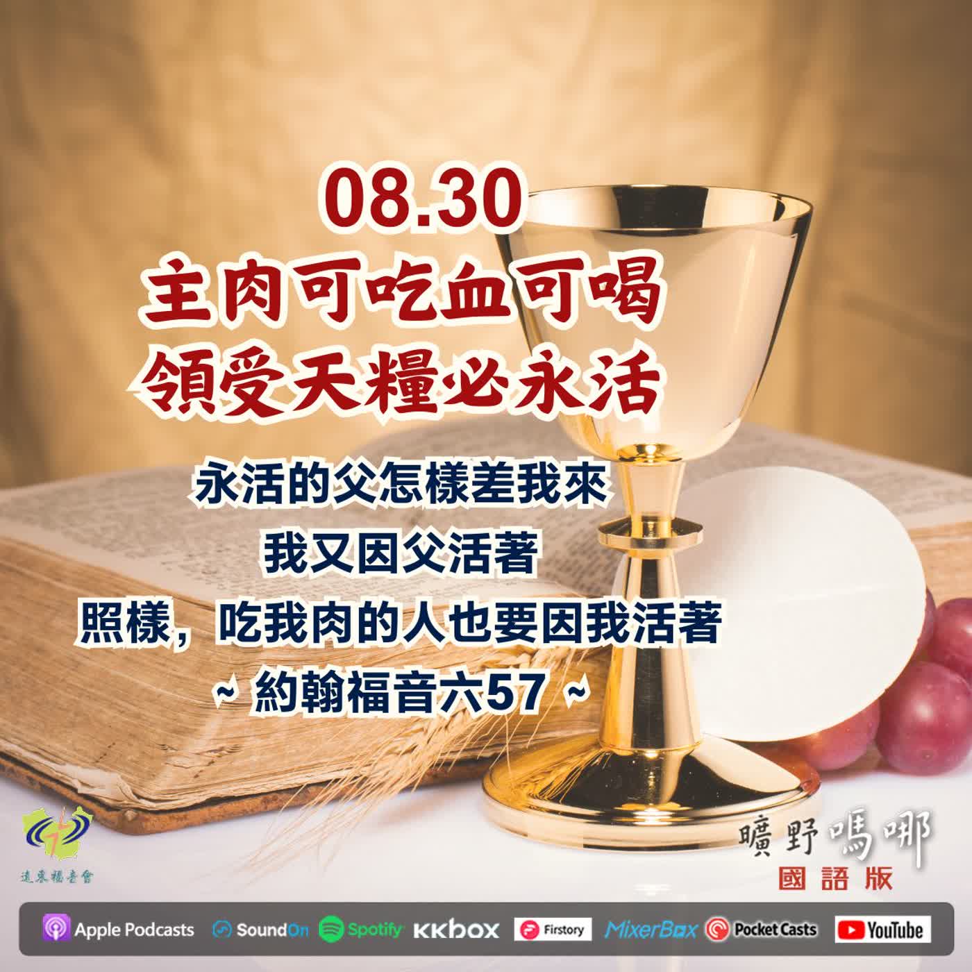 主肉可吃血可喝，領受天糧必永活 episode artwork