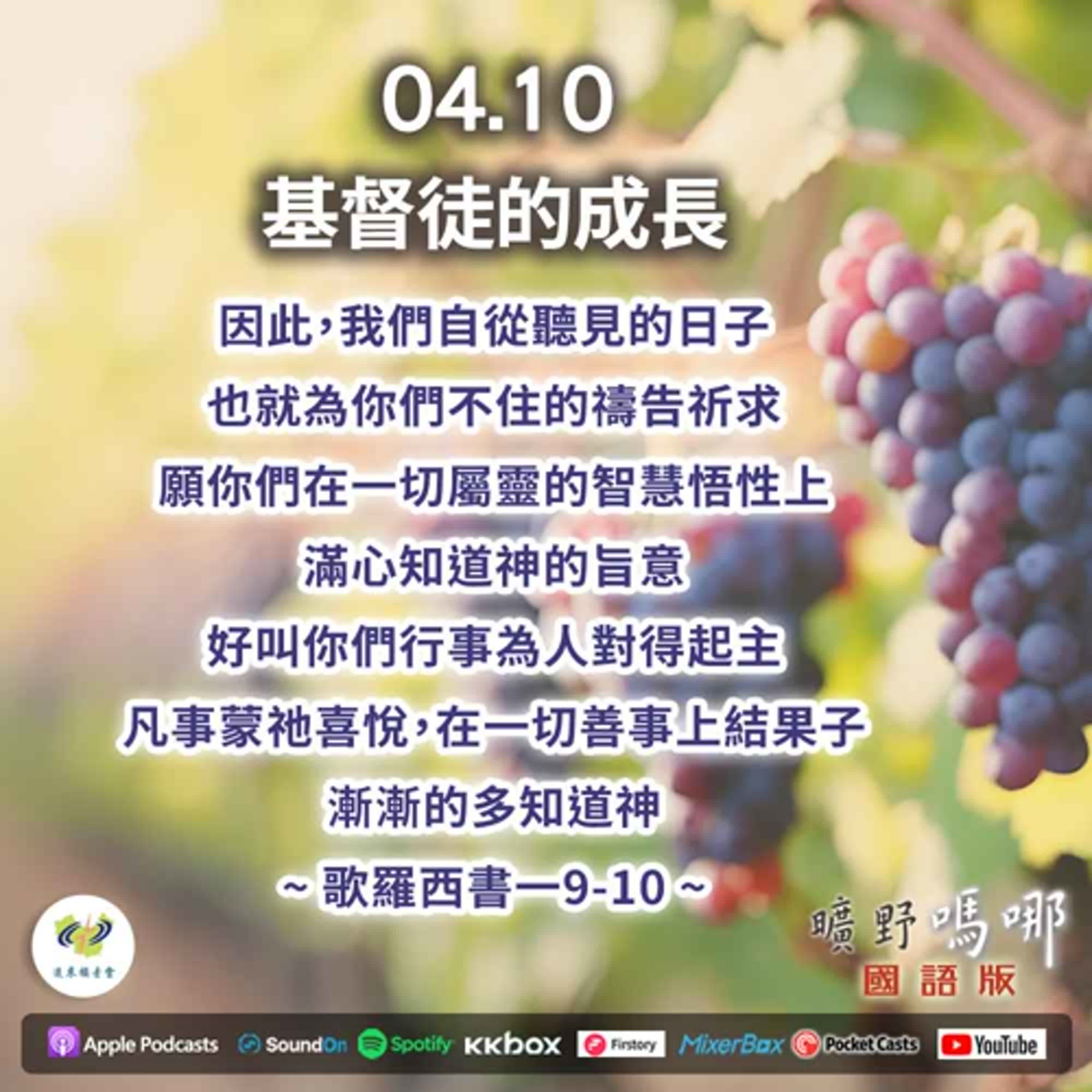 曠野嗎哪-基督徒的成長 episode artwork